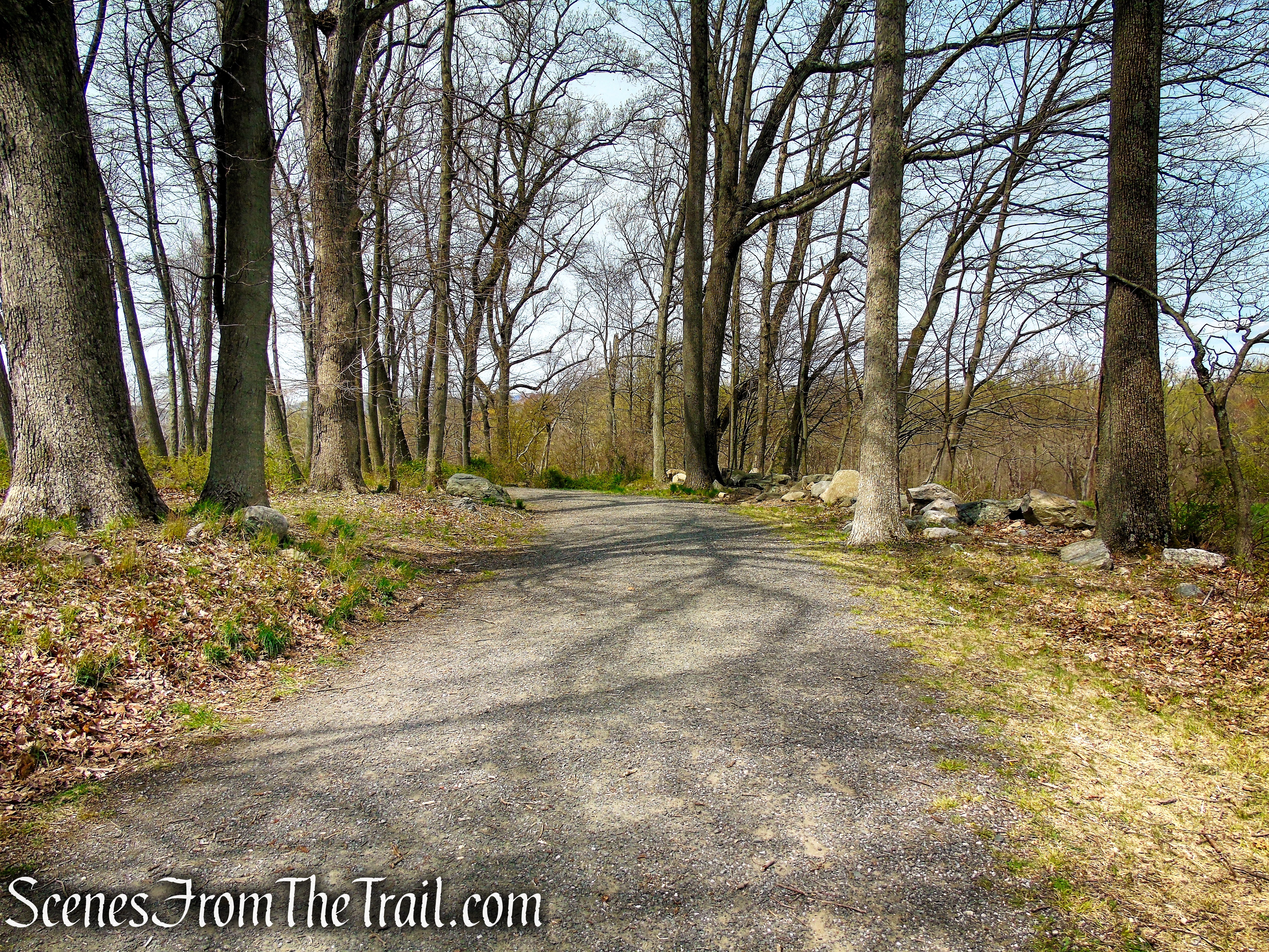 Douglas Hill Loop Trail - Rockefeller State Park Preserve