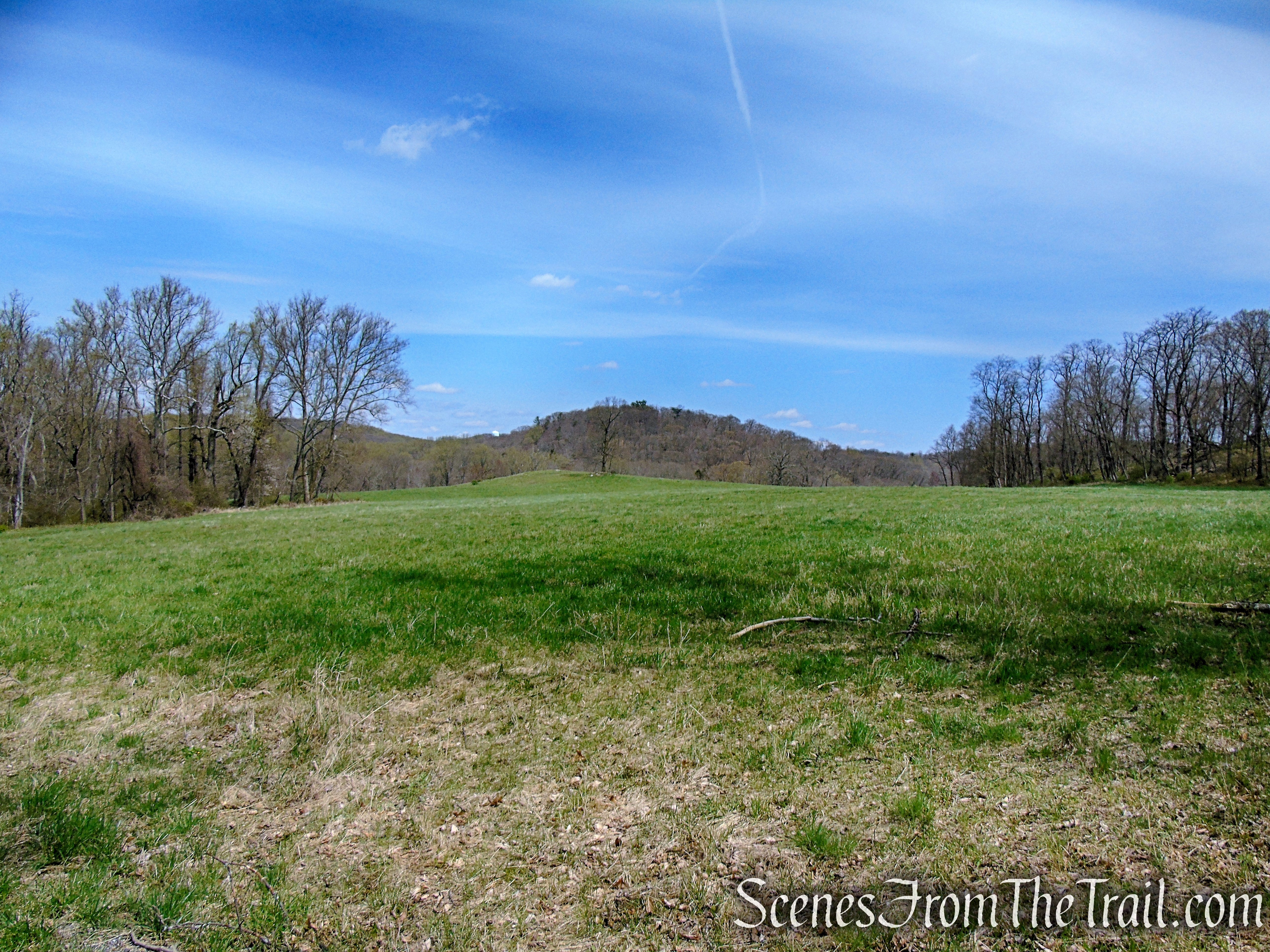 Douglas Hill Loop Trail - Rockefeller State Park Preserve