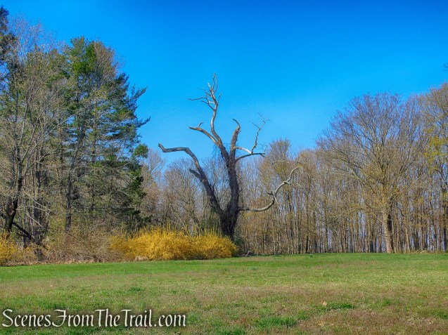 Donald J. Trump State Park - French Hill Section