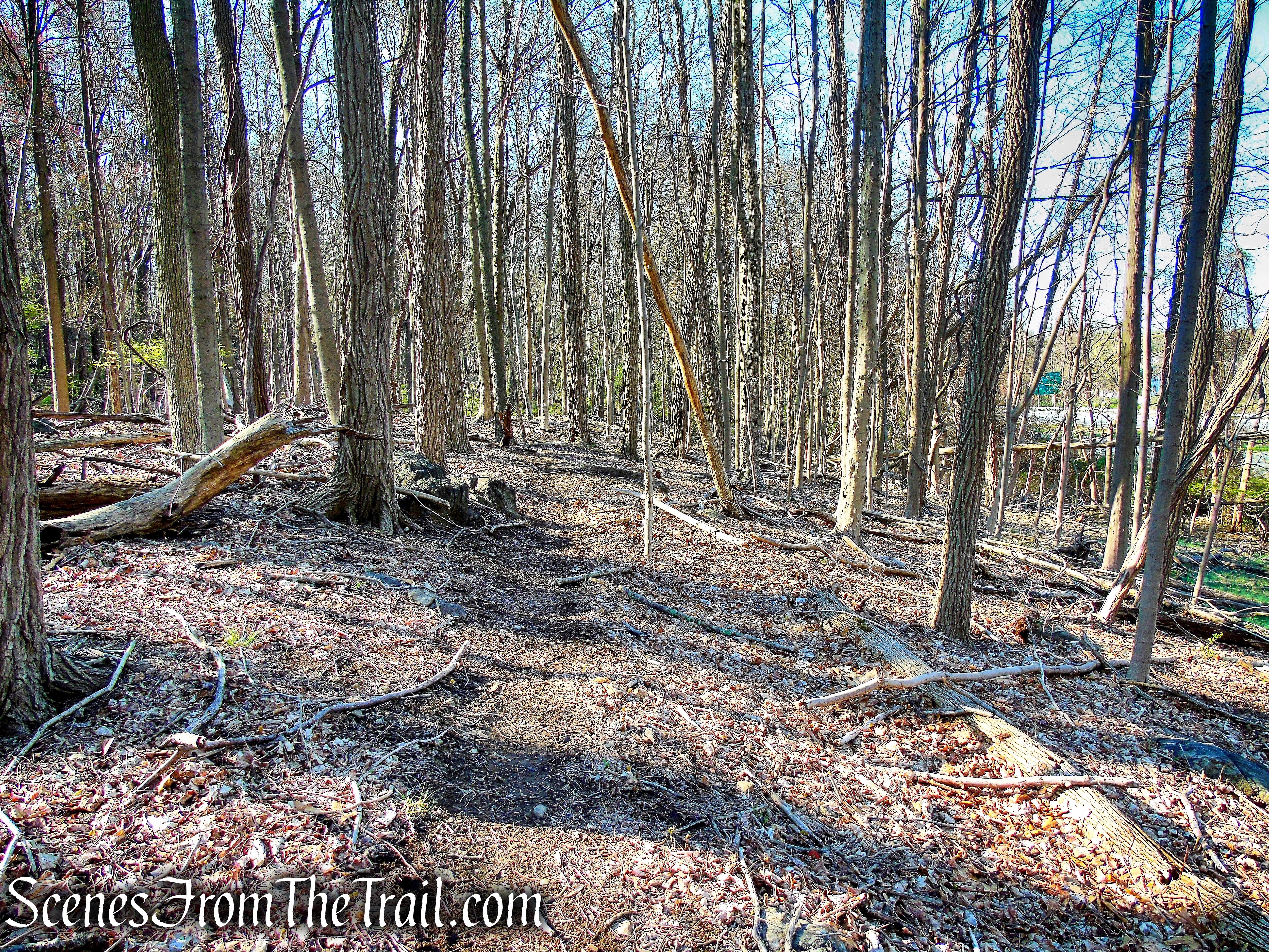 unmarked trail - French Hill Section