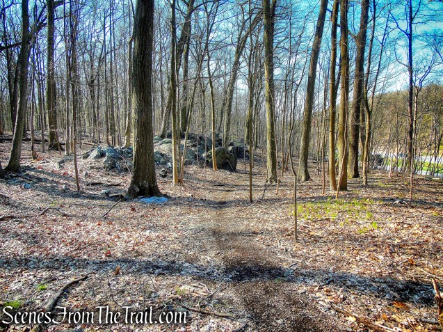 unmarked trail - French Hill Section