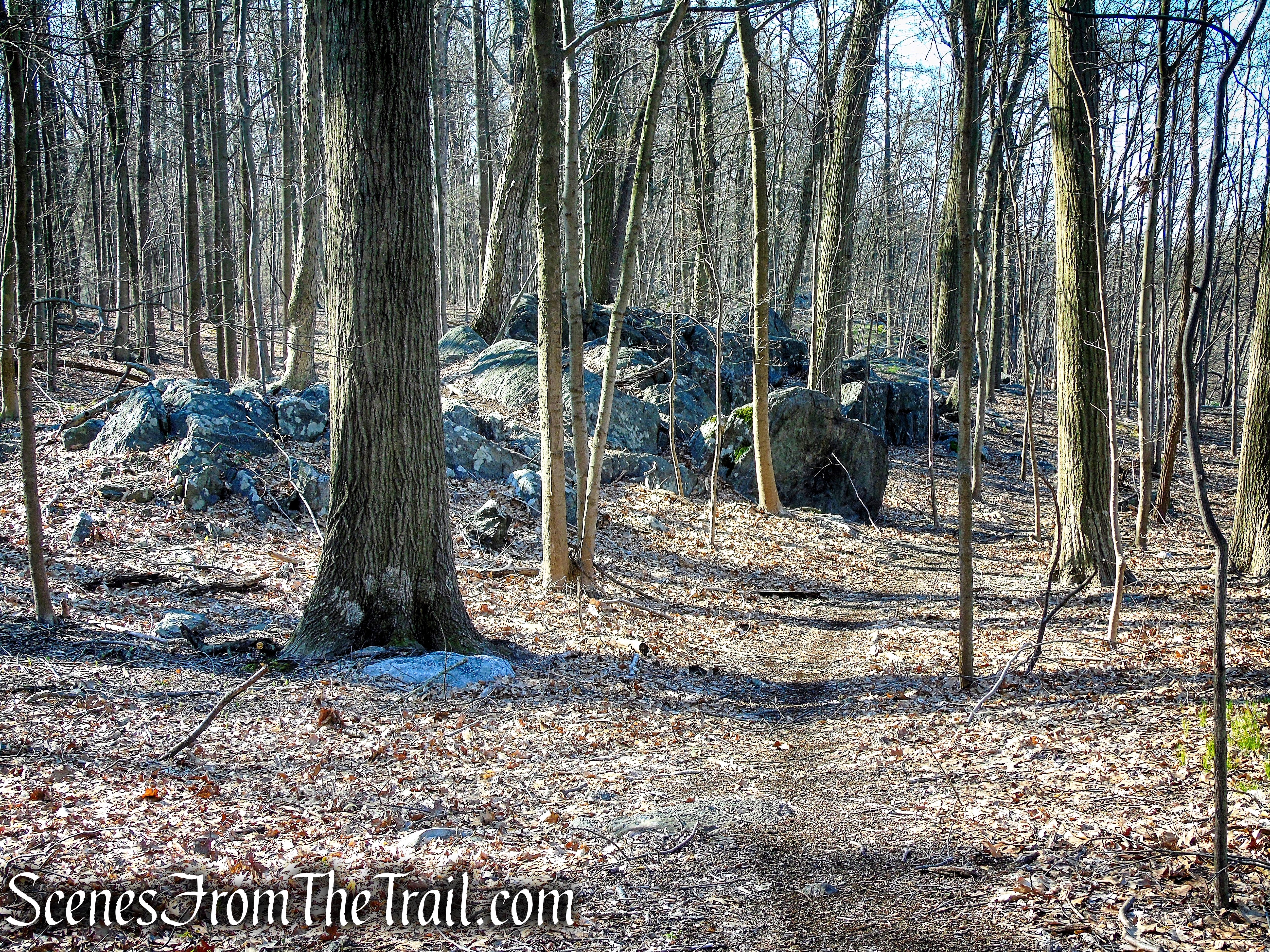 unmarked trail - French Hill Section