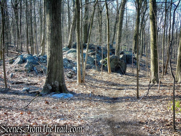unmarked trail - French Hill Section