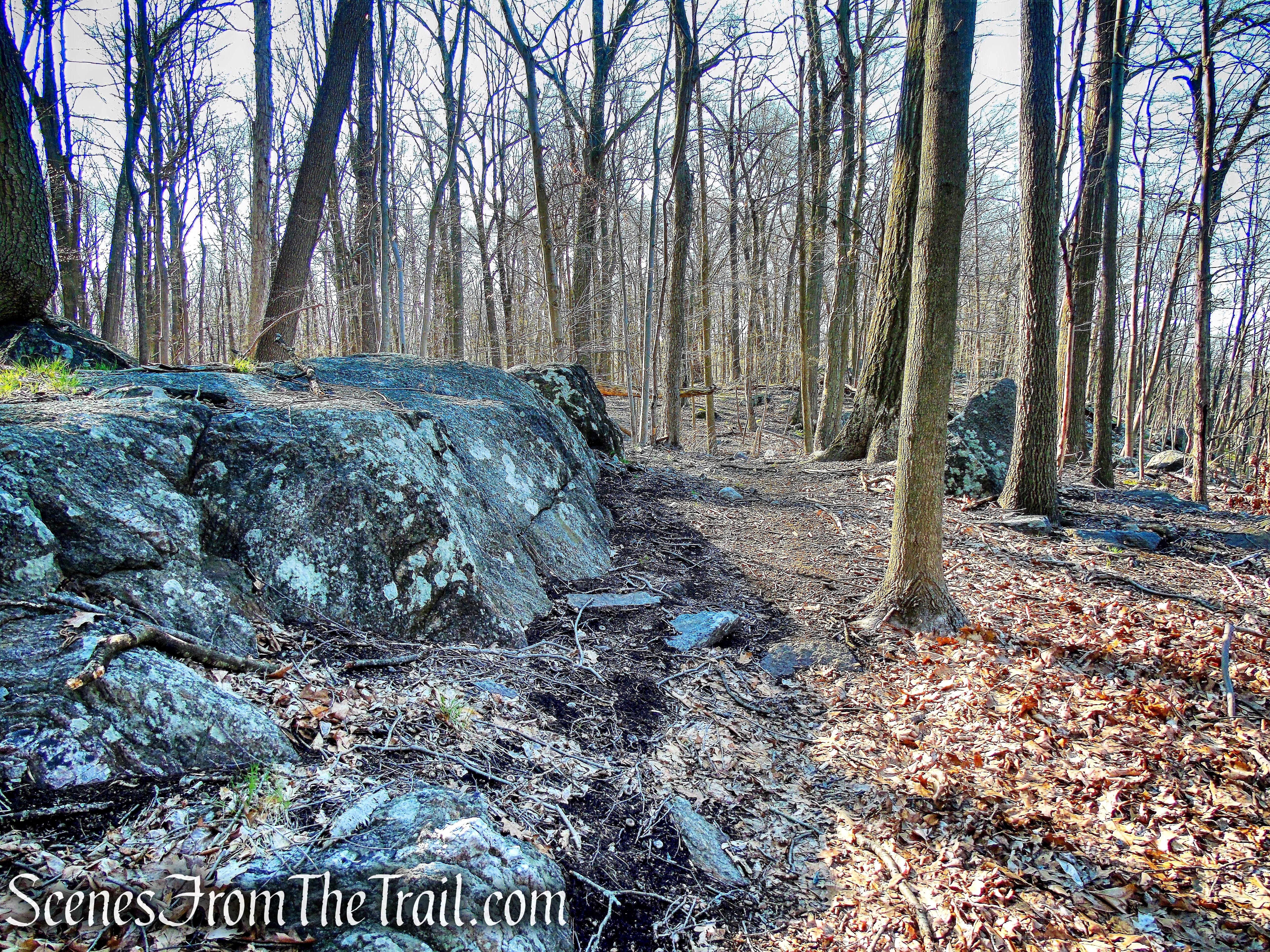 unmarked trail - French Hill Section