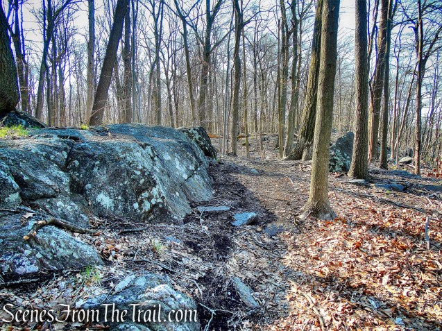 unmarked trail - French Hill Section
