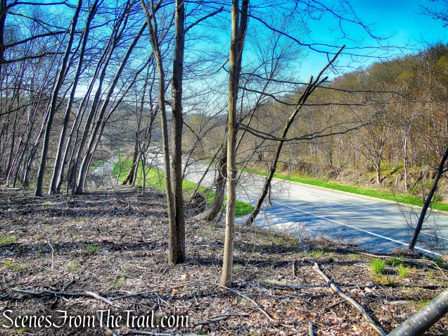 unmarked trail - French Hill Section