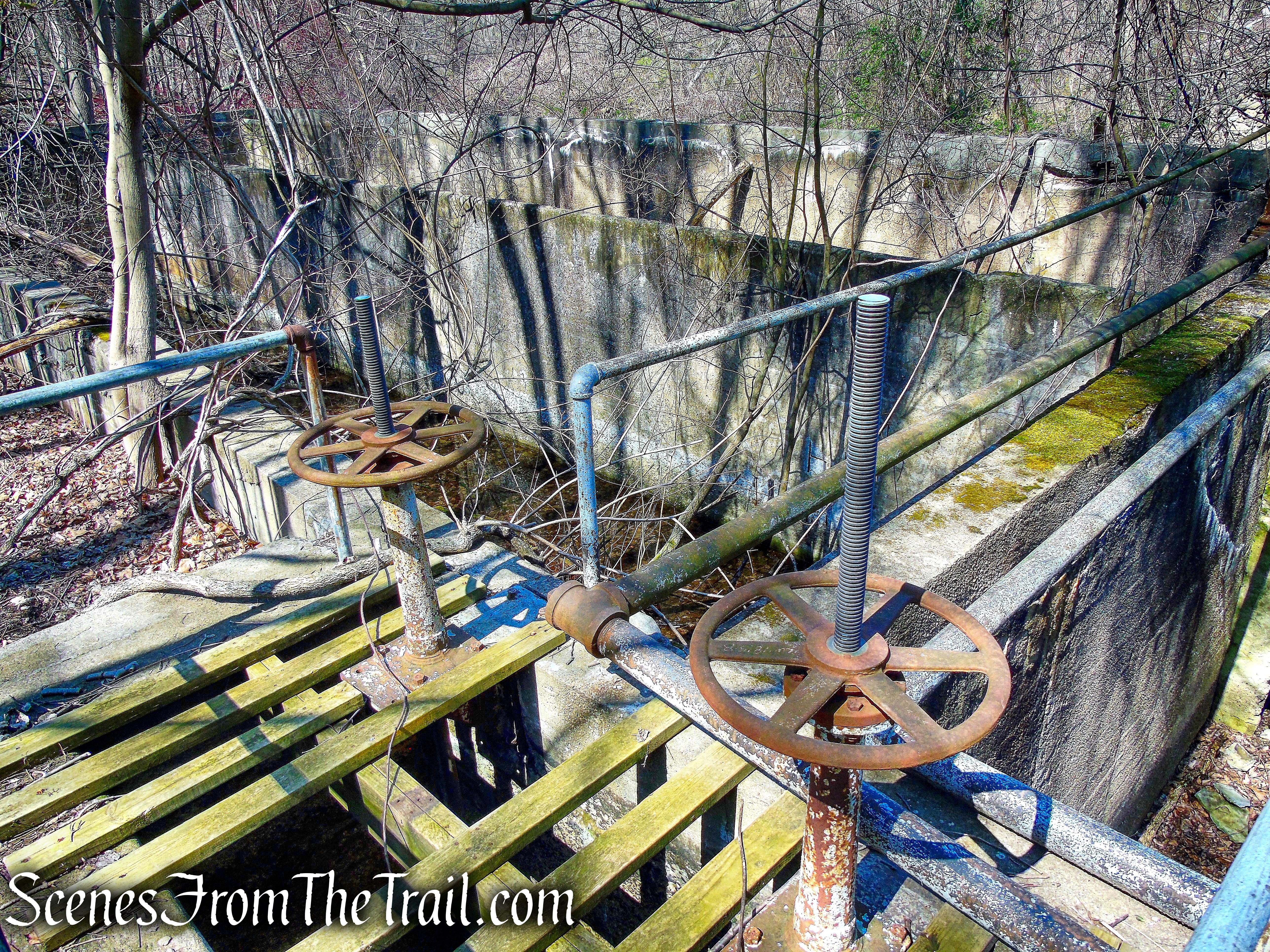 New Rochelle Water Company ruins