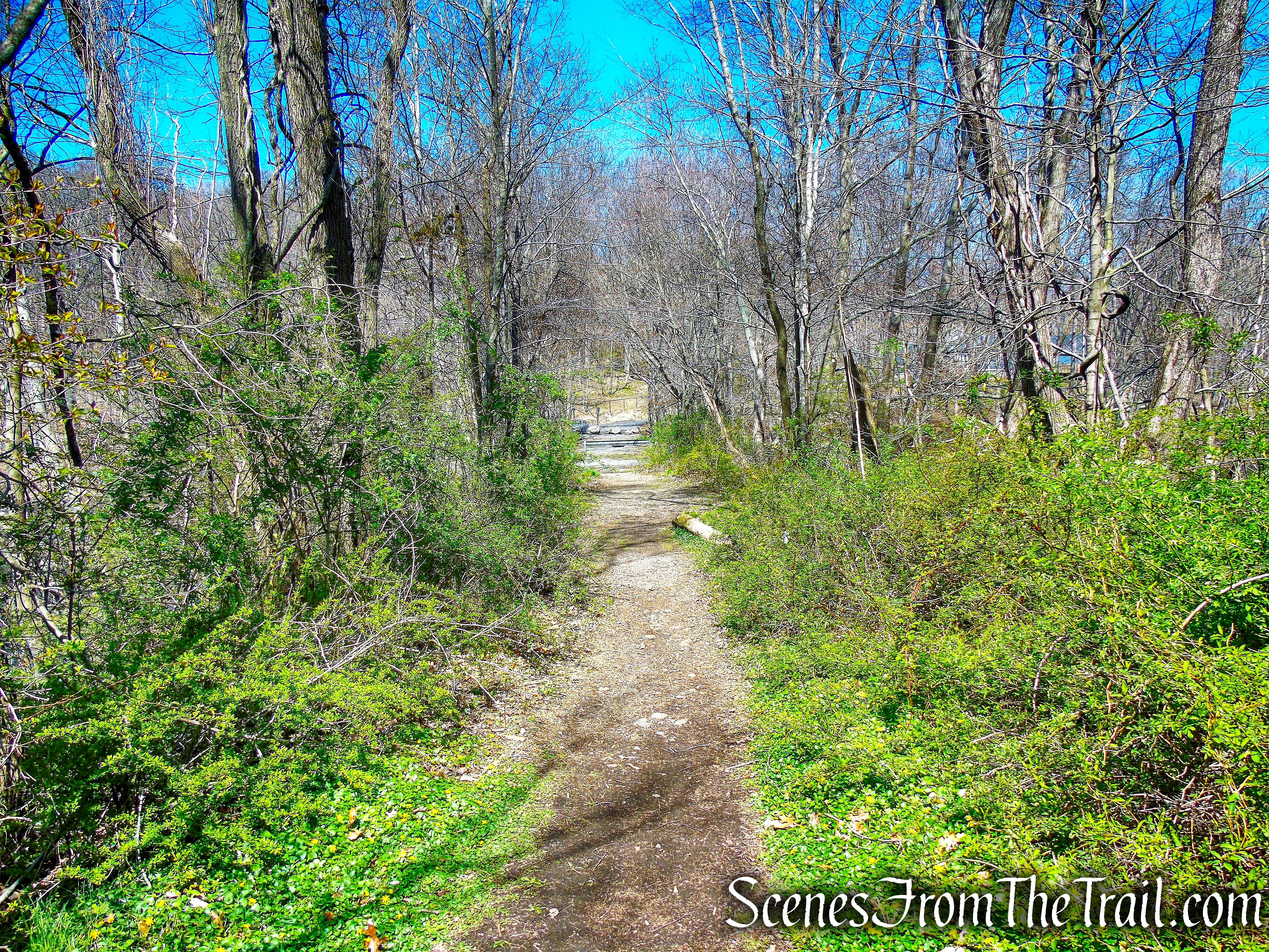 Pocantico Lake Trail