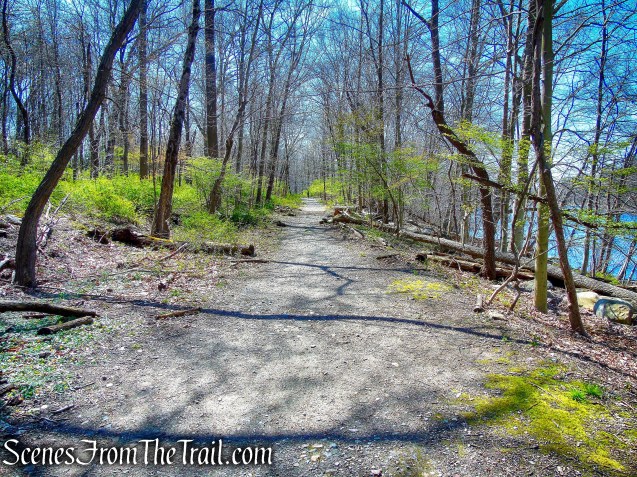 Pocantico Lake Trail