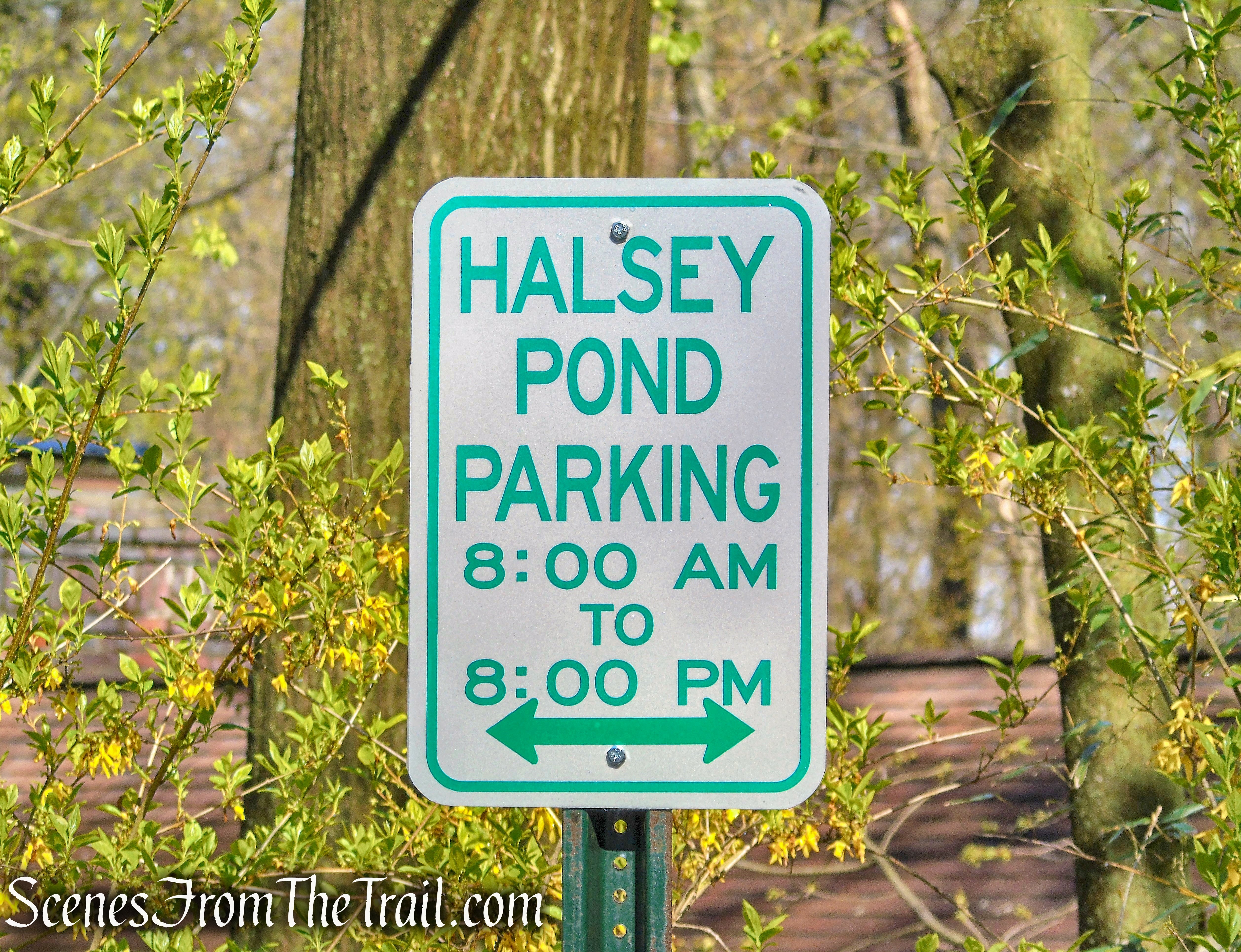 Halsey Pond Park