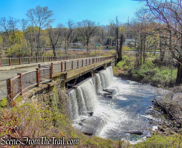 Woodlands Lake Falls and Bridge