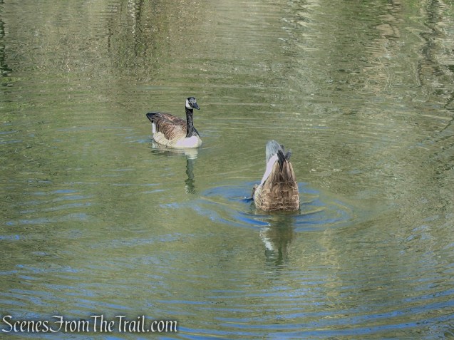 Great Hunger Memorial at V.E. Macy