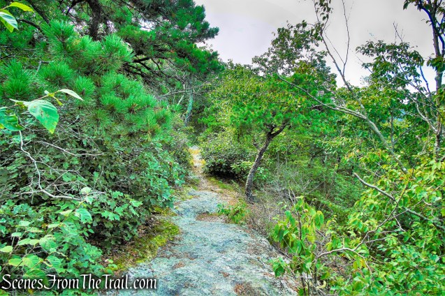 Mattabesett Trail - Mica Ledges Preserve