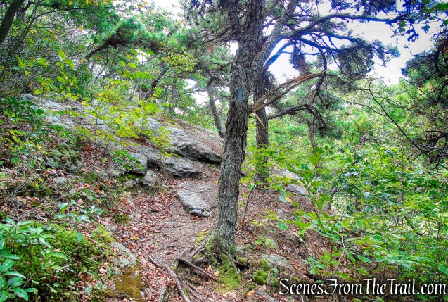 Mattabesett Trail - Mica Ledges Preserve