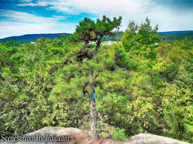 Mattabesett Trail - Mica Ledges Preserve
