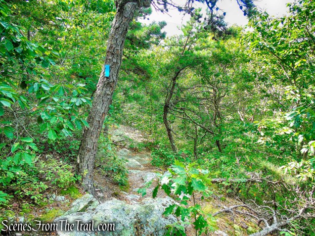 Mattabesett Trail - Mica Ledges Preserve