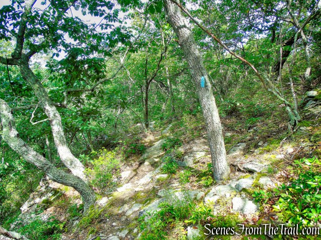 Mattabesett Trail - Mica Ledges Preserve