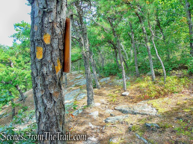 turn right on Maria Schmidt Memorial Trail