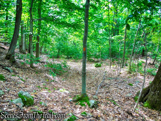Maria Schmidt Memorial Trail - Mica Ledges Preserve