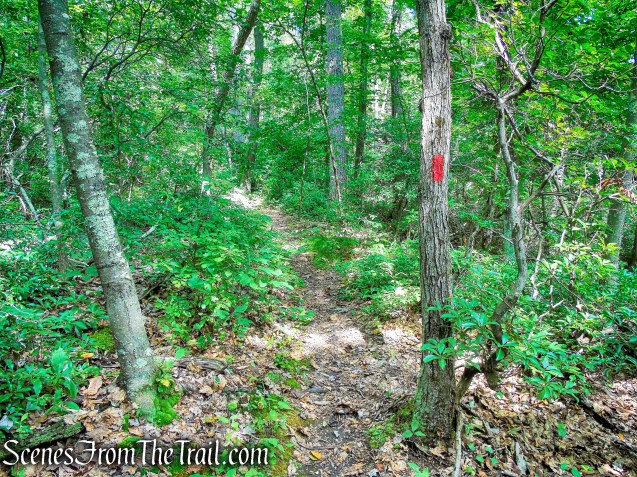 Mica Ledges Trail - Mica Ledges Preserve