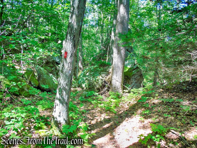 Mica Ledges Trail - Mica Ledges Preserve