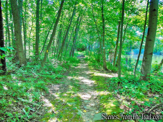 Selectmen's Path - Mica Ledges Preserve