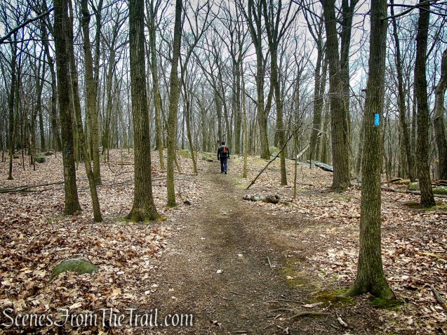 Taxter Ridge Park Preserve
