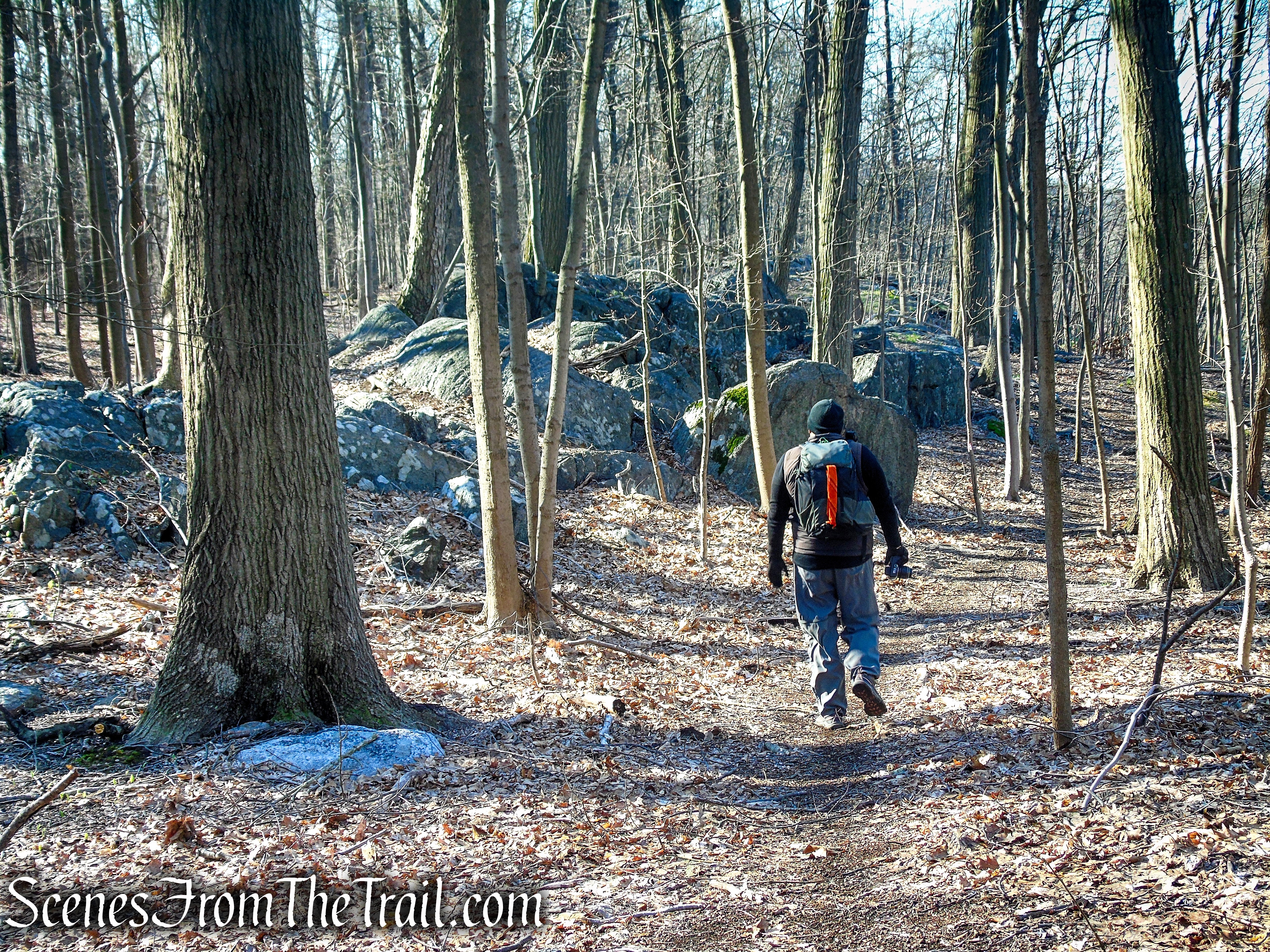 Donald J. Trump State Park - French Hill Section