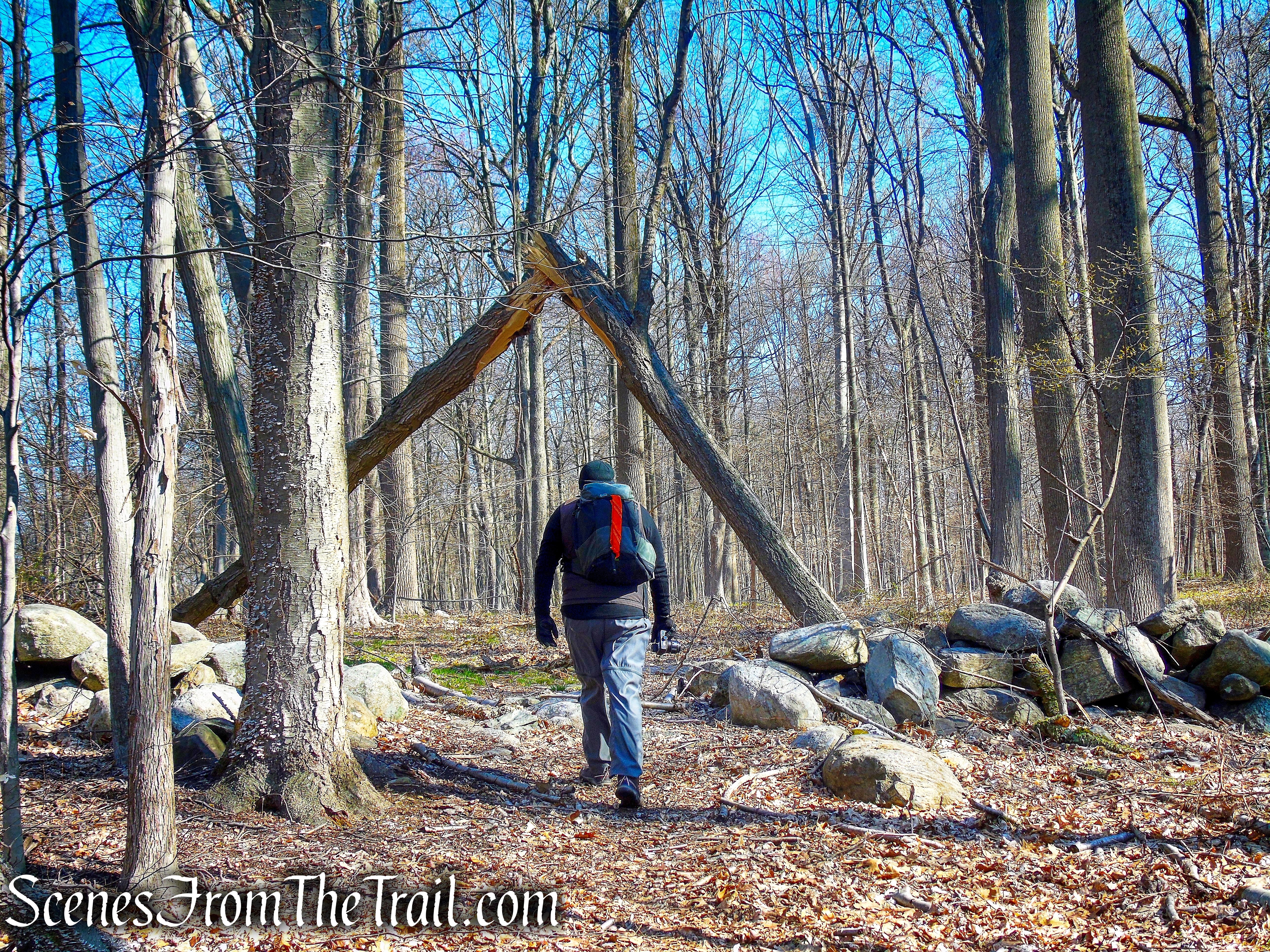 Donald J. Trump State Park - French Hill Section