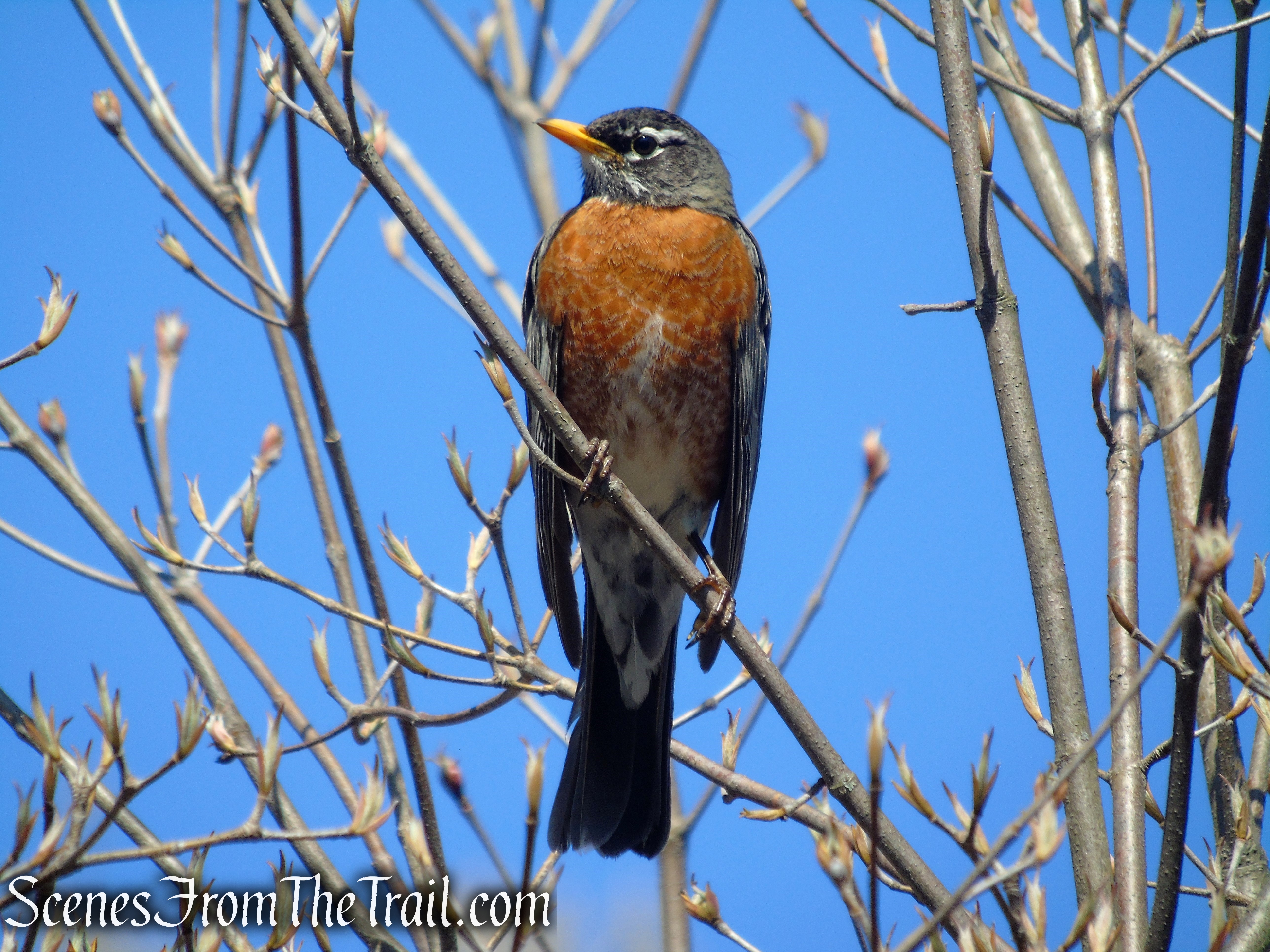 Great Hunger Memorial at V.E. Macy Park