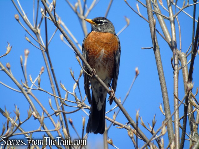 Great Hunger Memorial at V.E. Macy Park