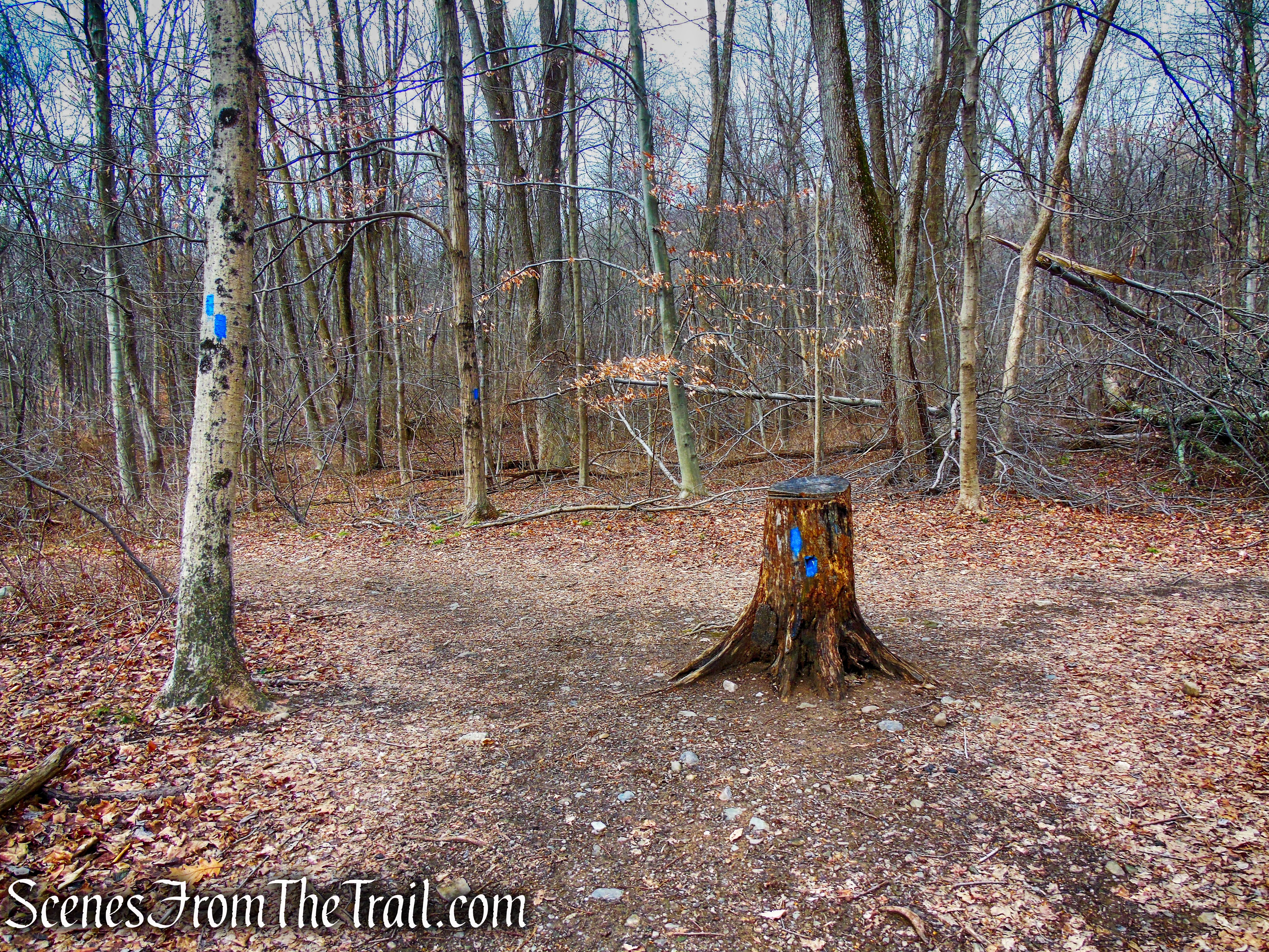 Old Mill Trail - Kakiat County Park