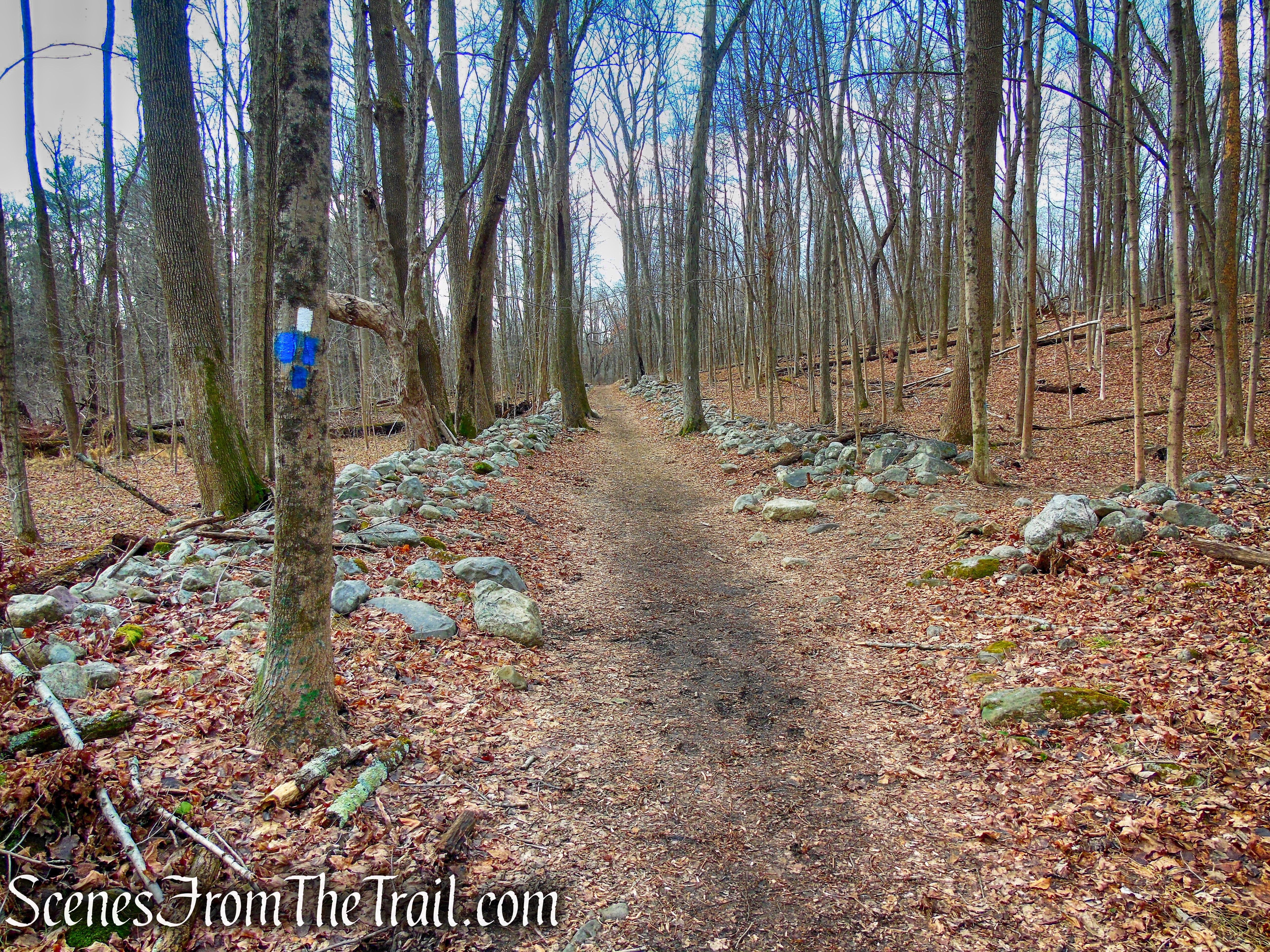 terminus of Old Mill Trail