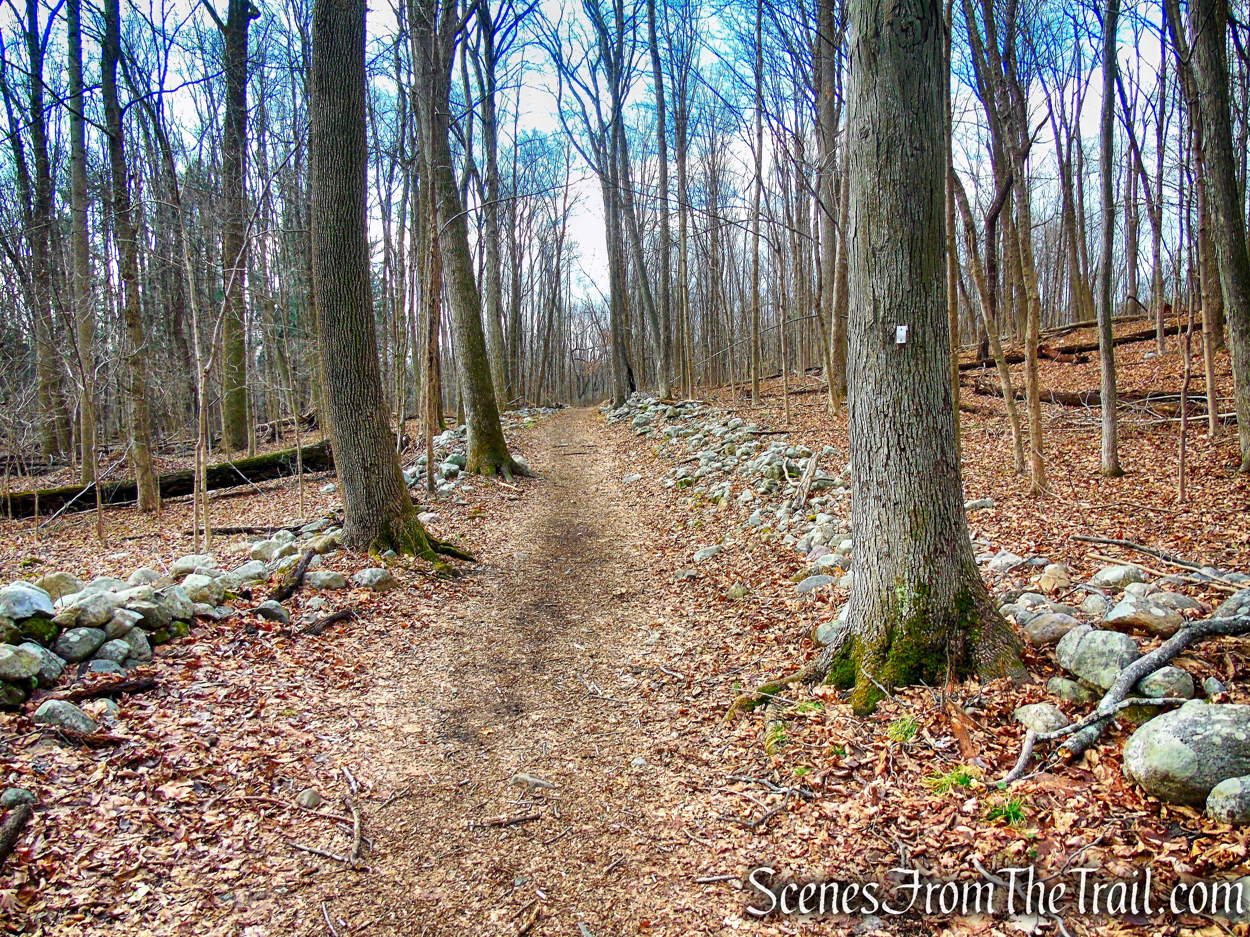 Kakiat Trail - Kakiat County Park