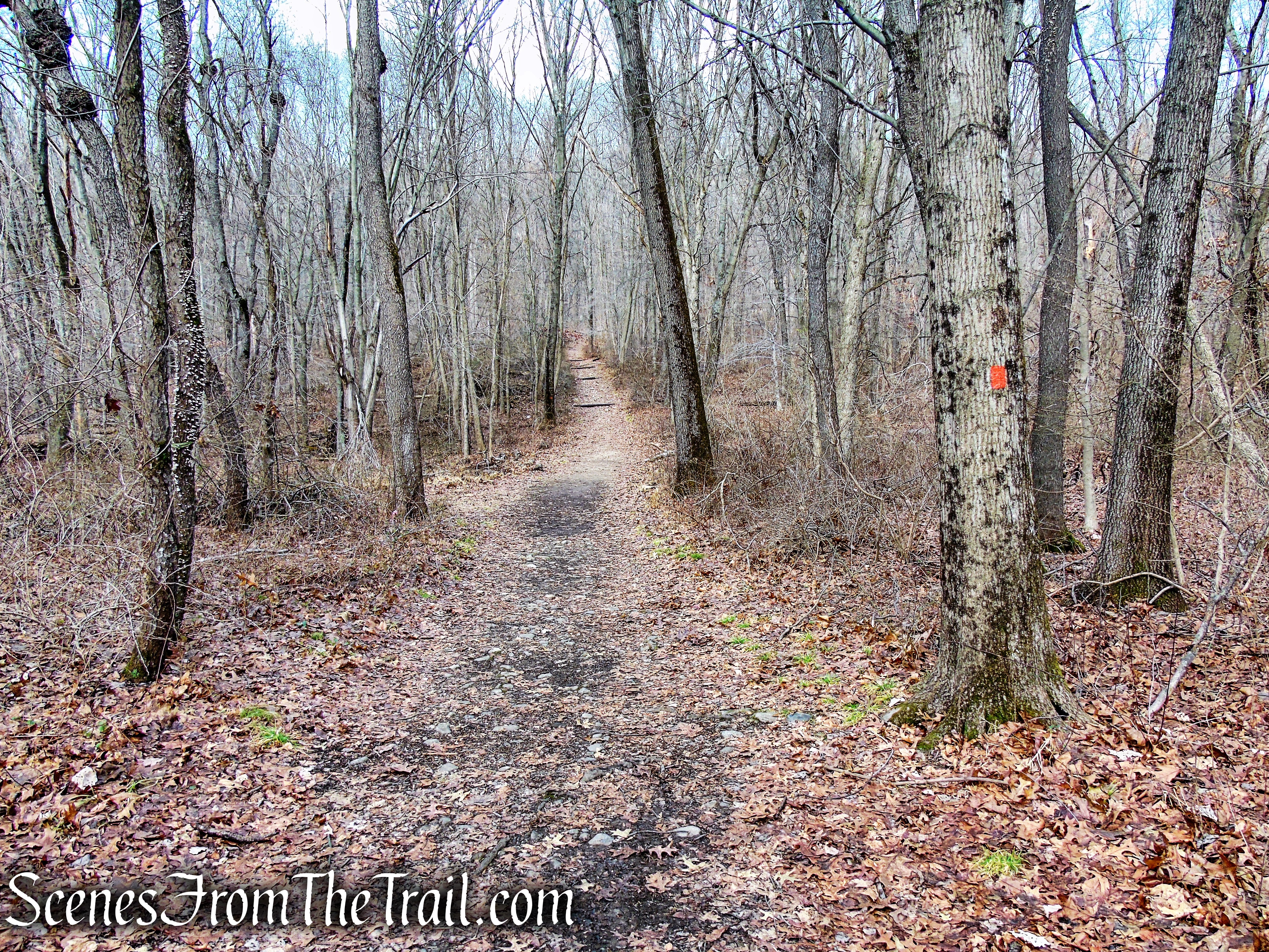 Mountain Trail - Kakiat County Park