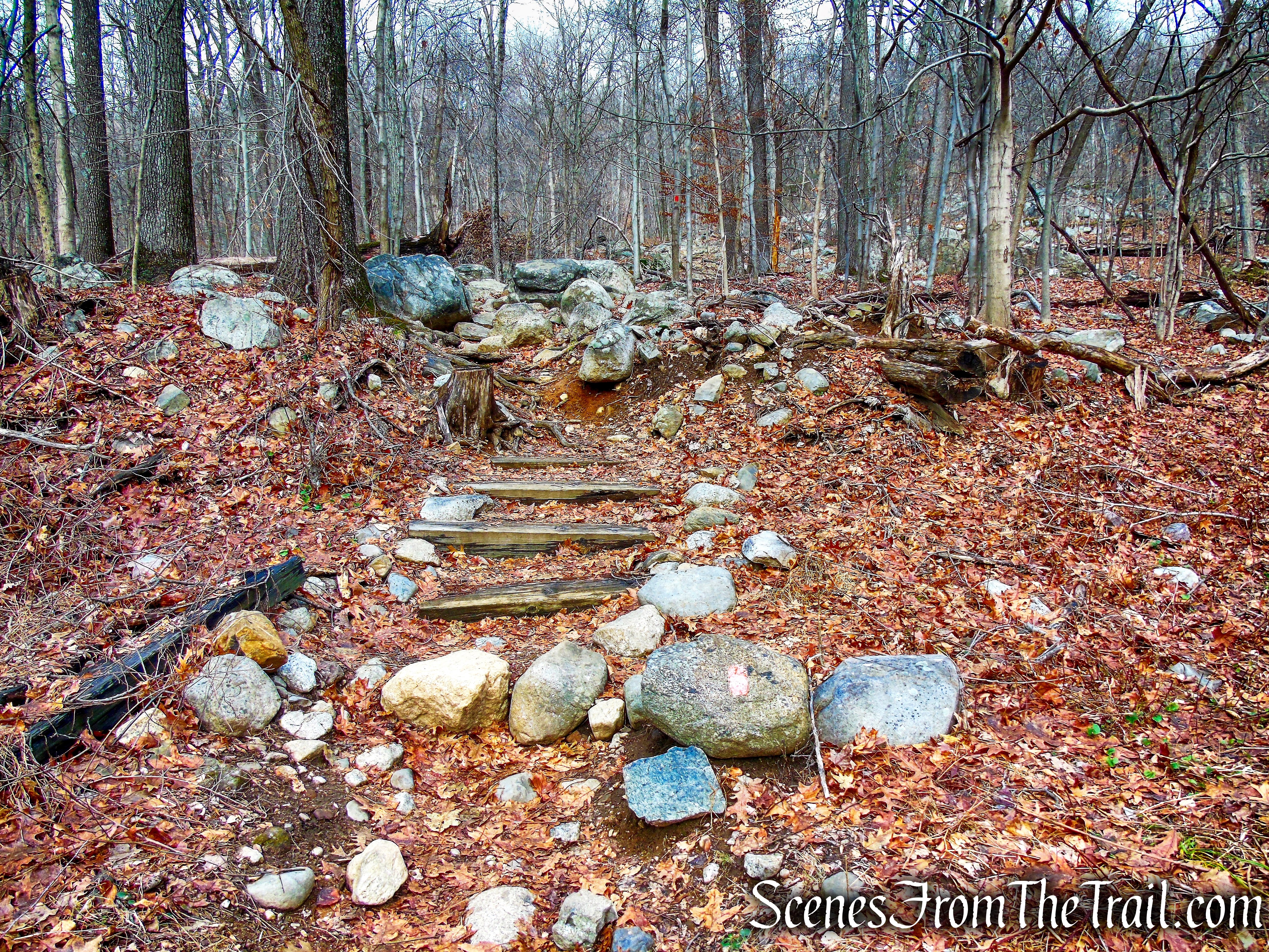 Mountain Trail - Kakiat County Park
