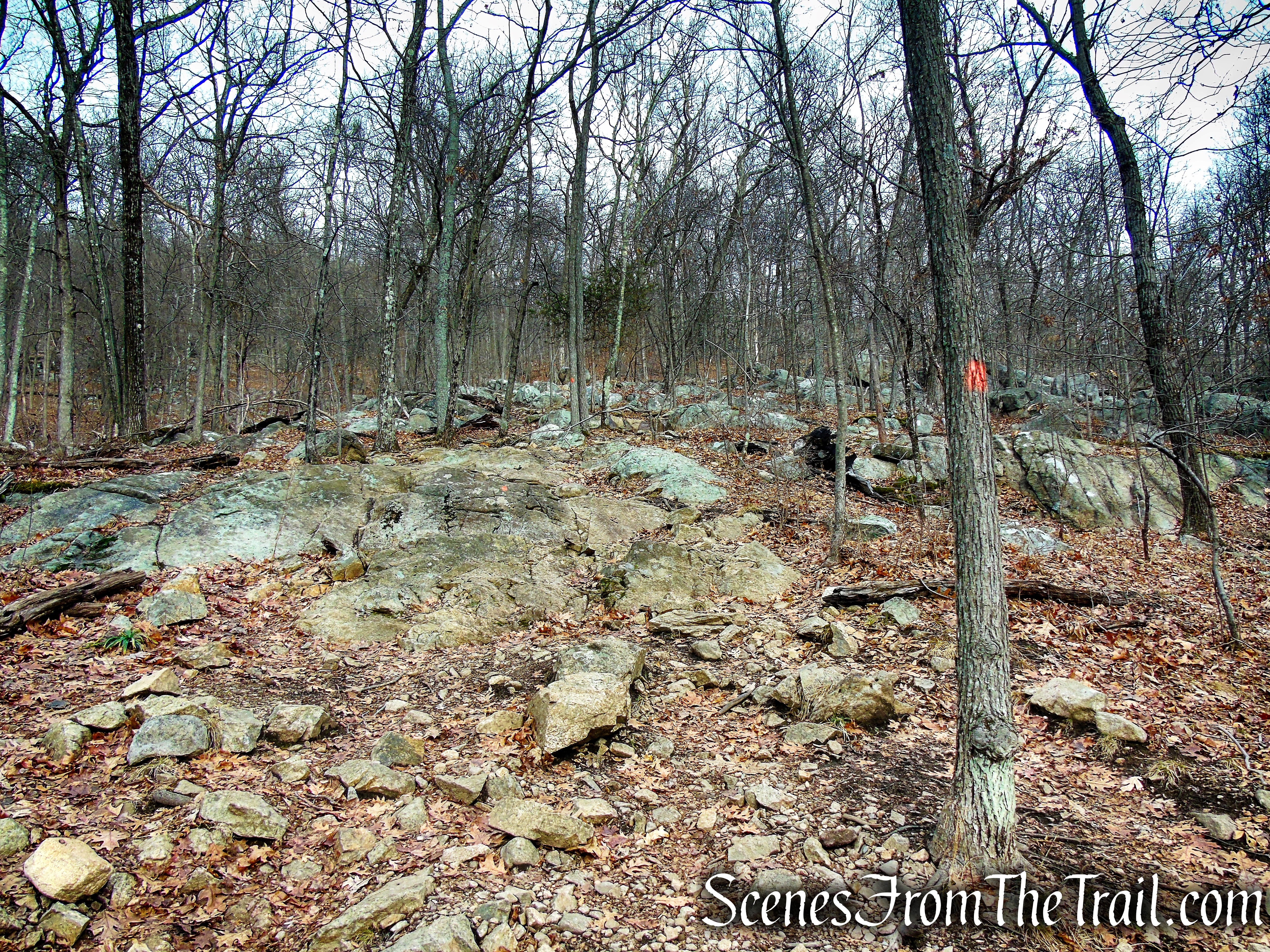 Mountain Trail - Kakiat County Park