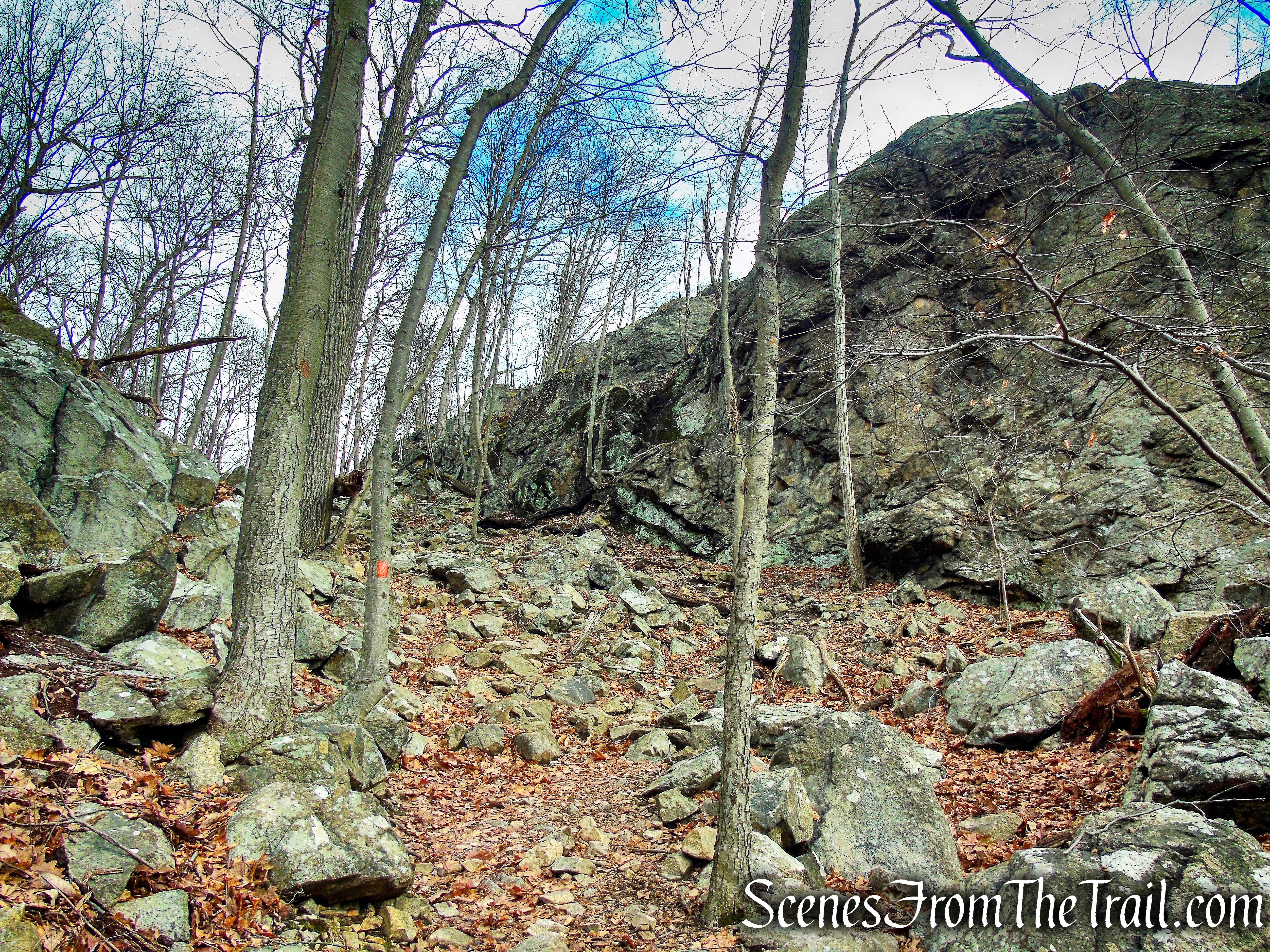 Mountain Trail - Kakiat County Park