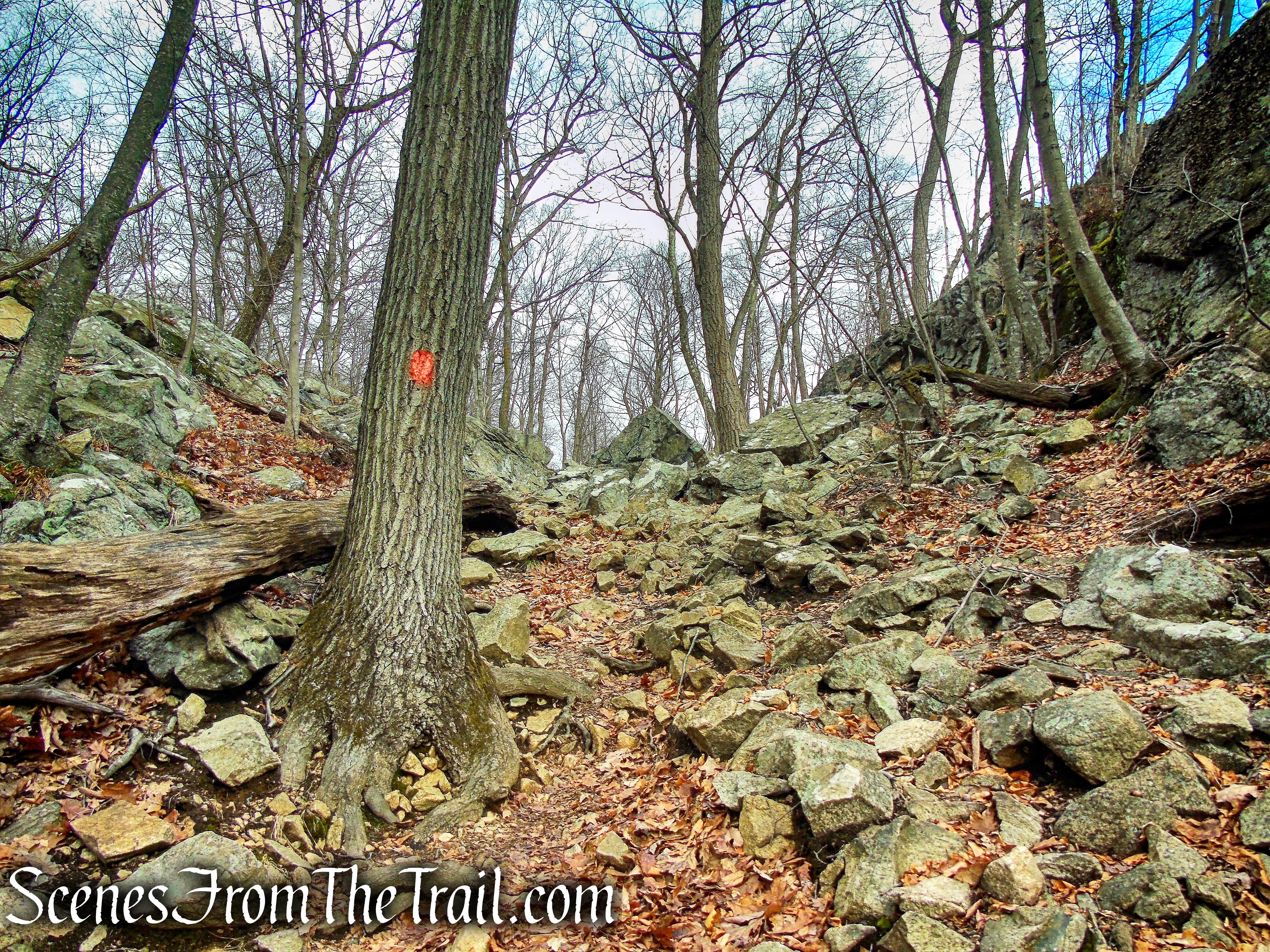 Mountain Trail - Kakiat County Park