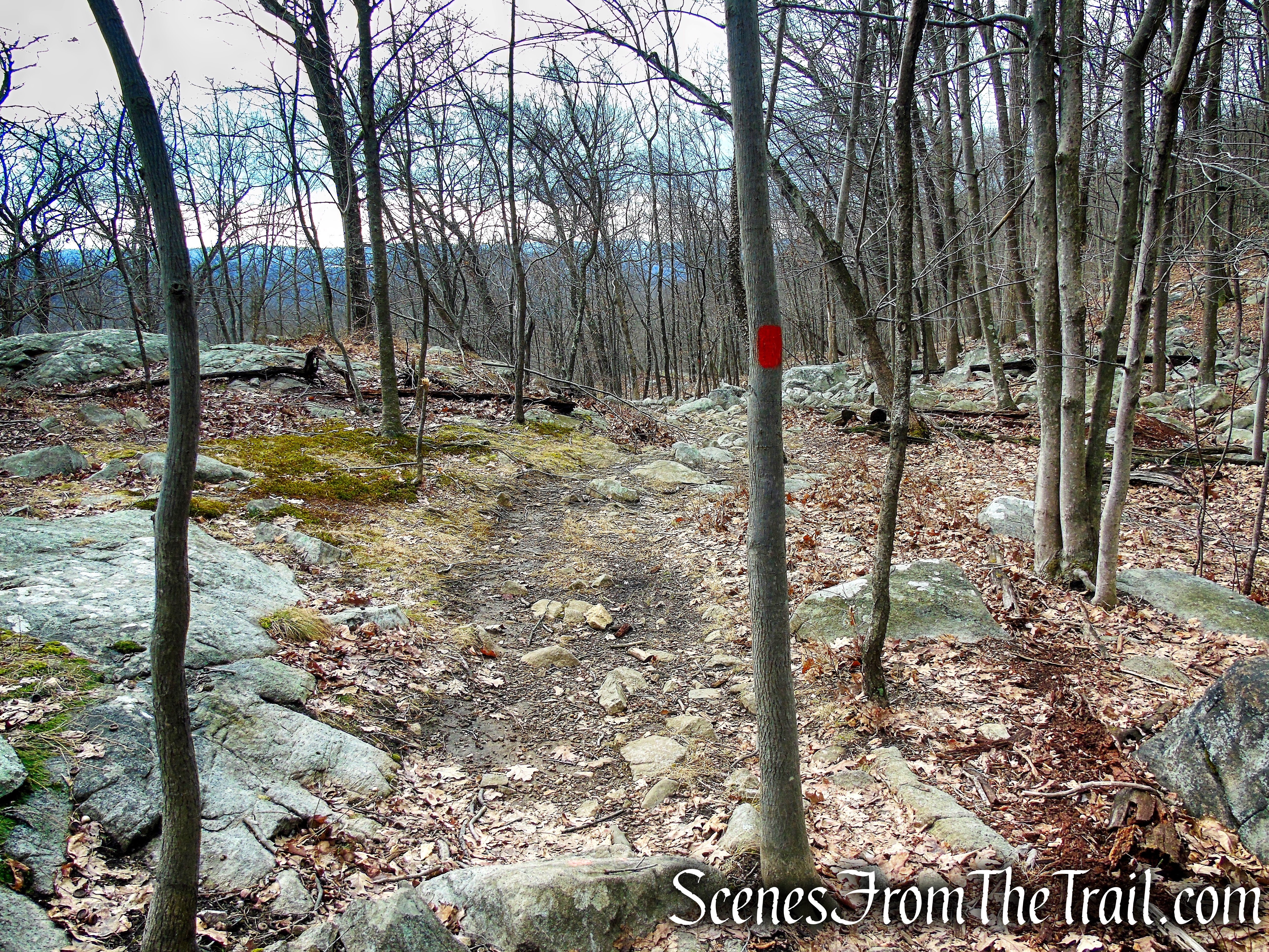 Mountain Trail - Kakiat County Park
