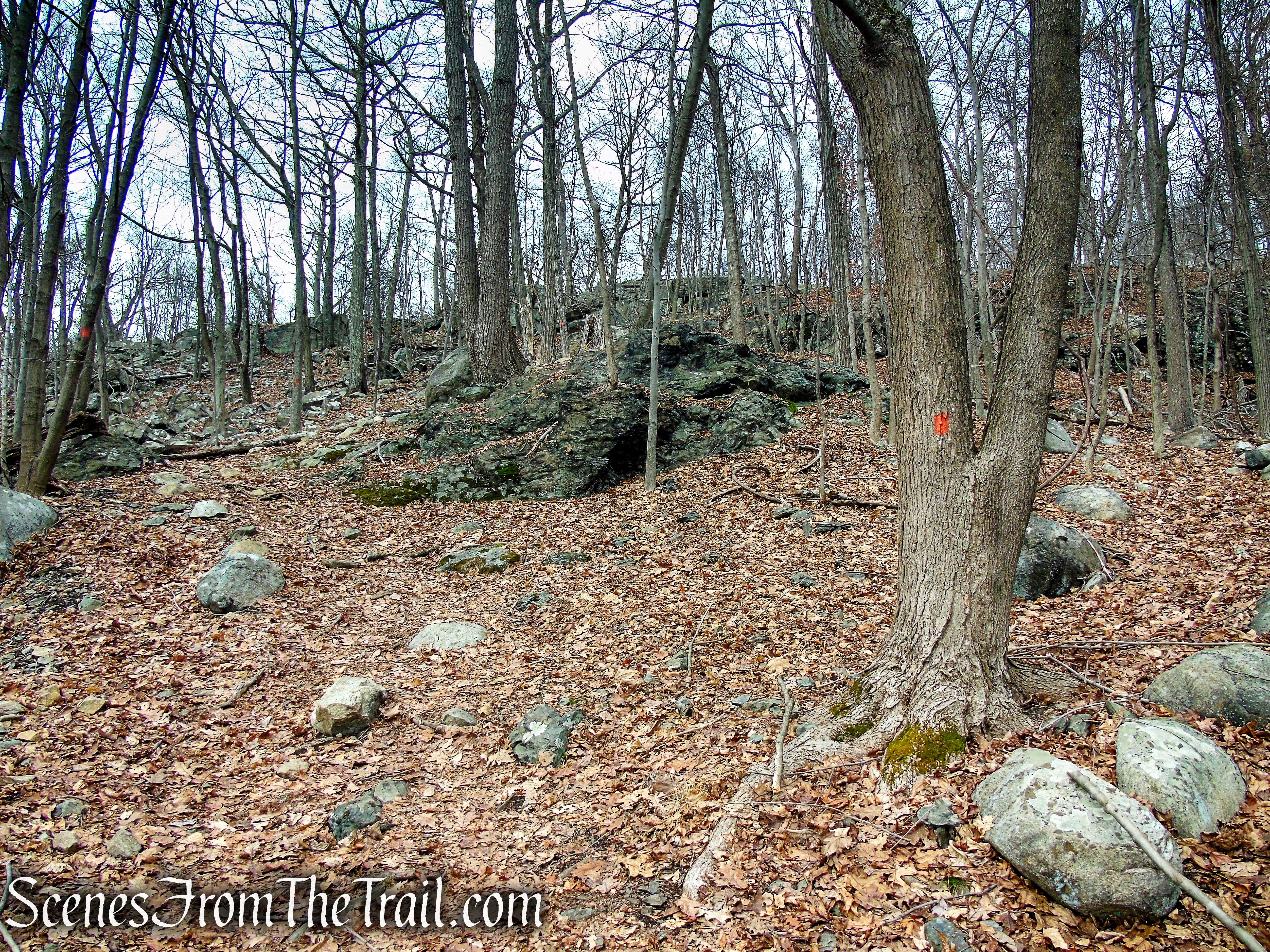Mountain Trail - Kakiat County Park