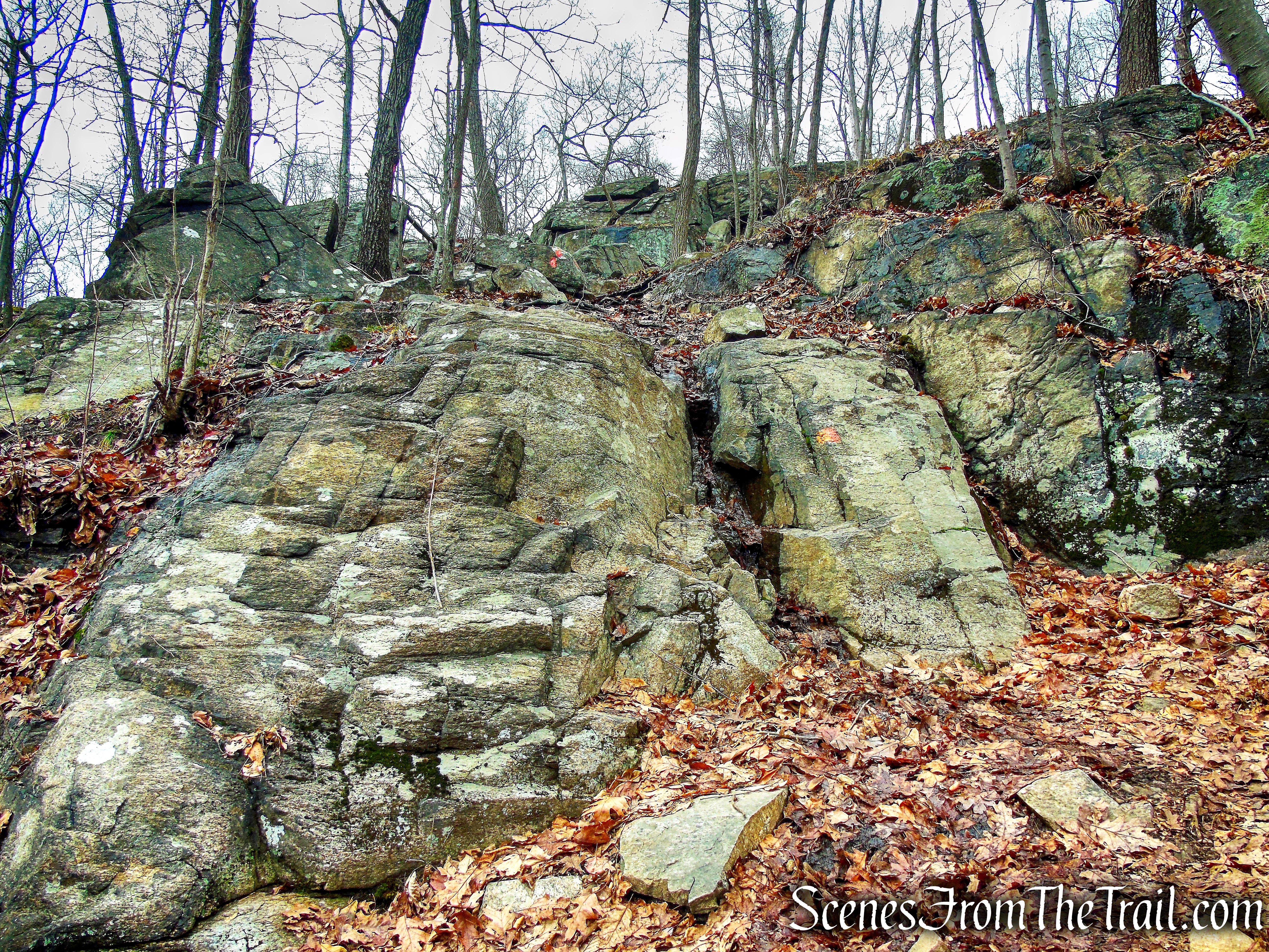 Mountain Trail - Kakiat County Park