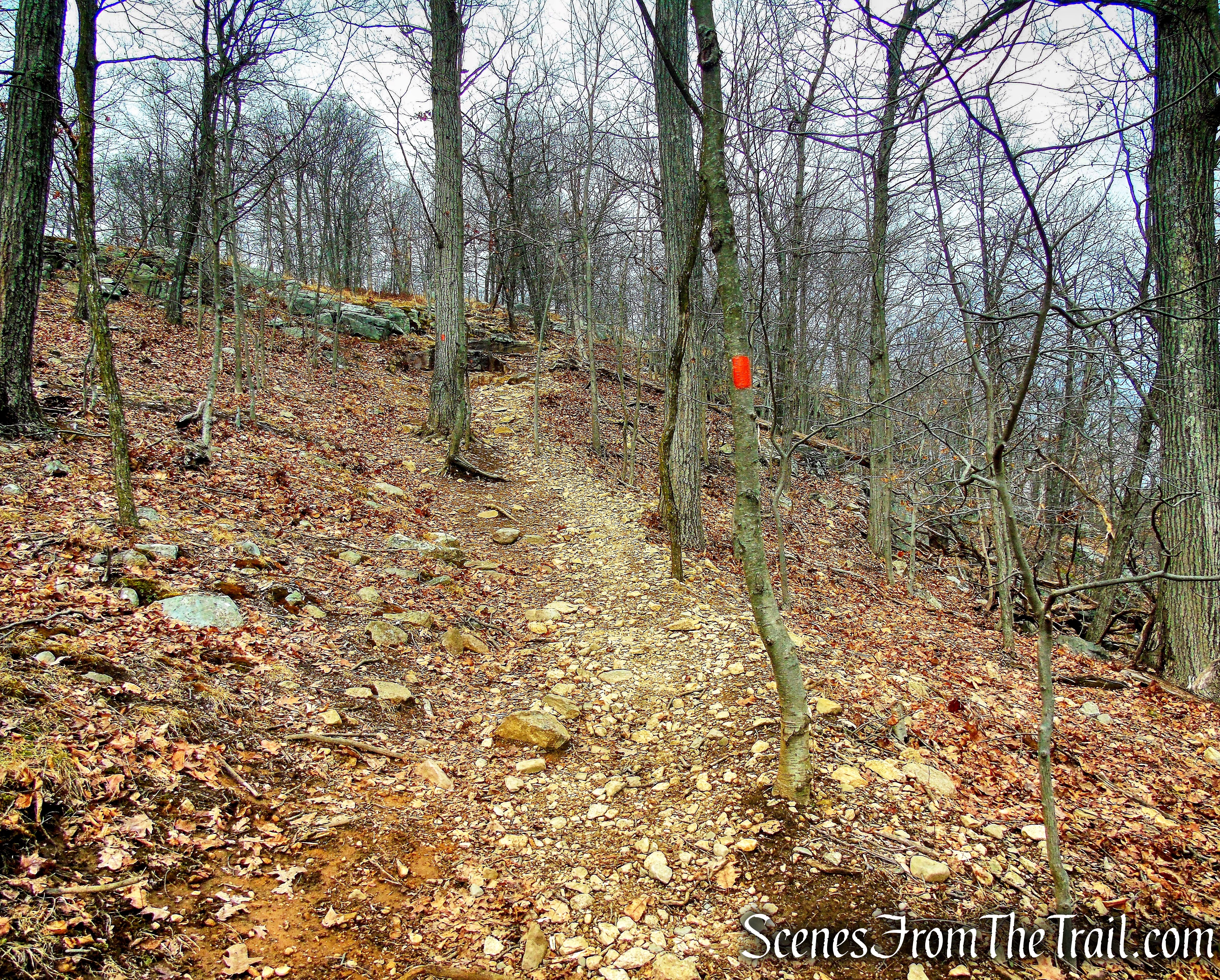 Mountain Trail - Kakiat County Park