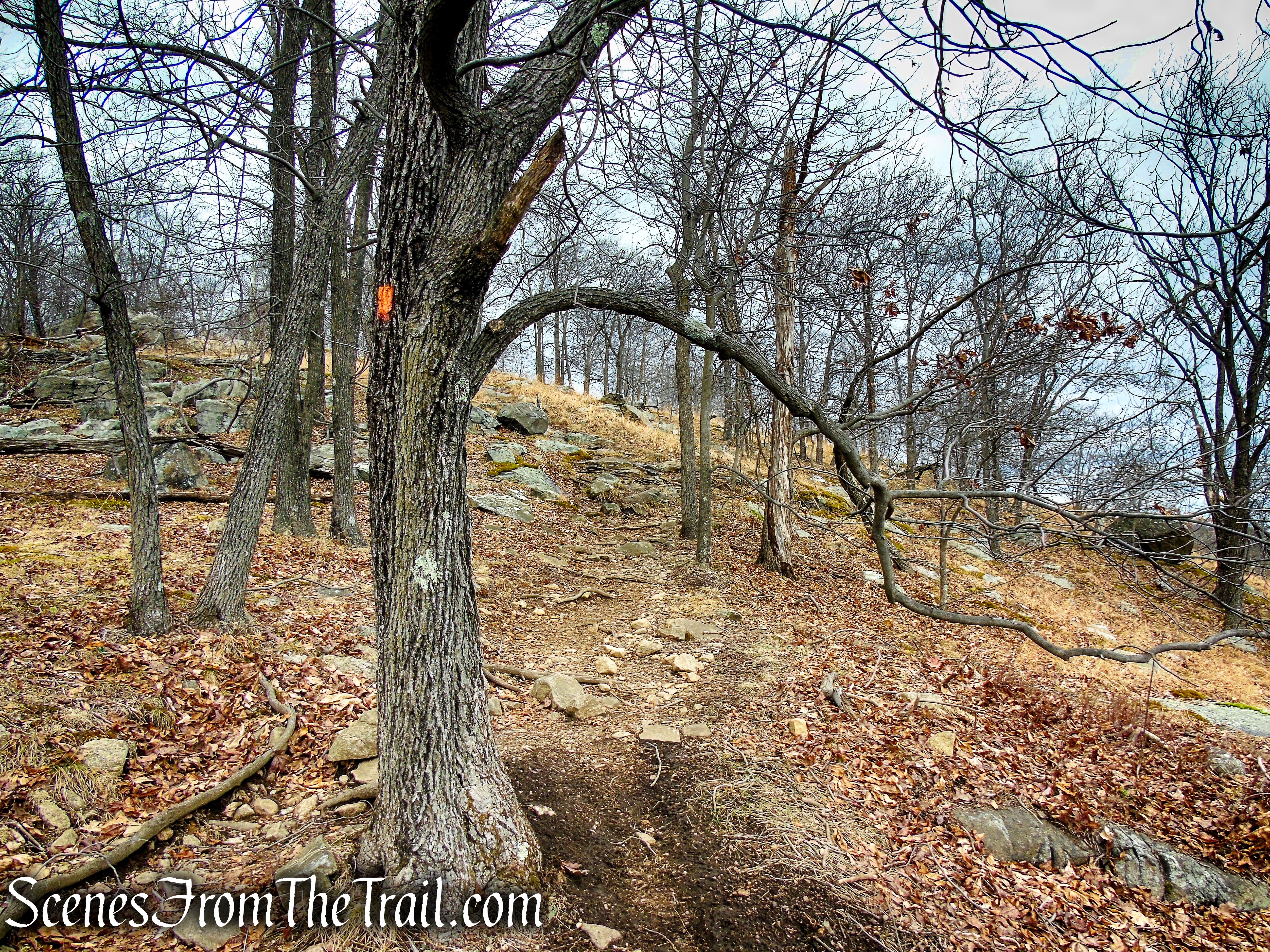 Mountain Trail - Kakiat County Park