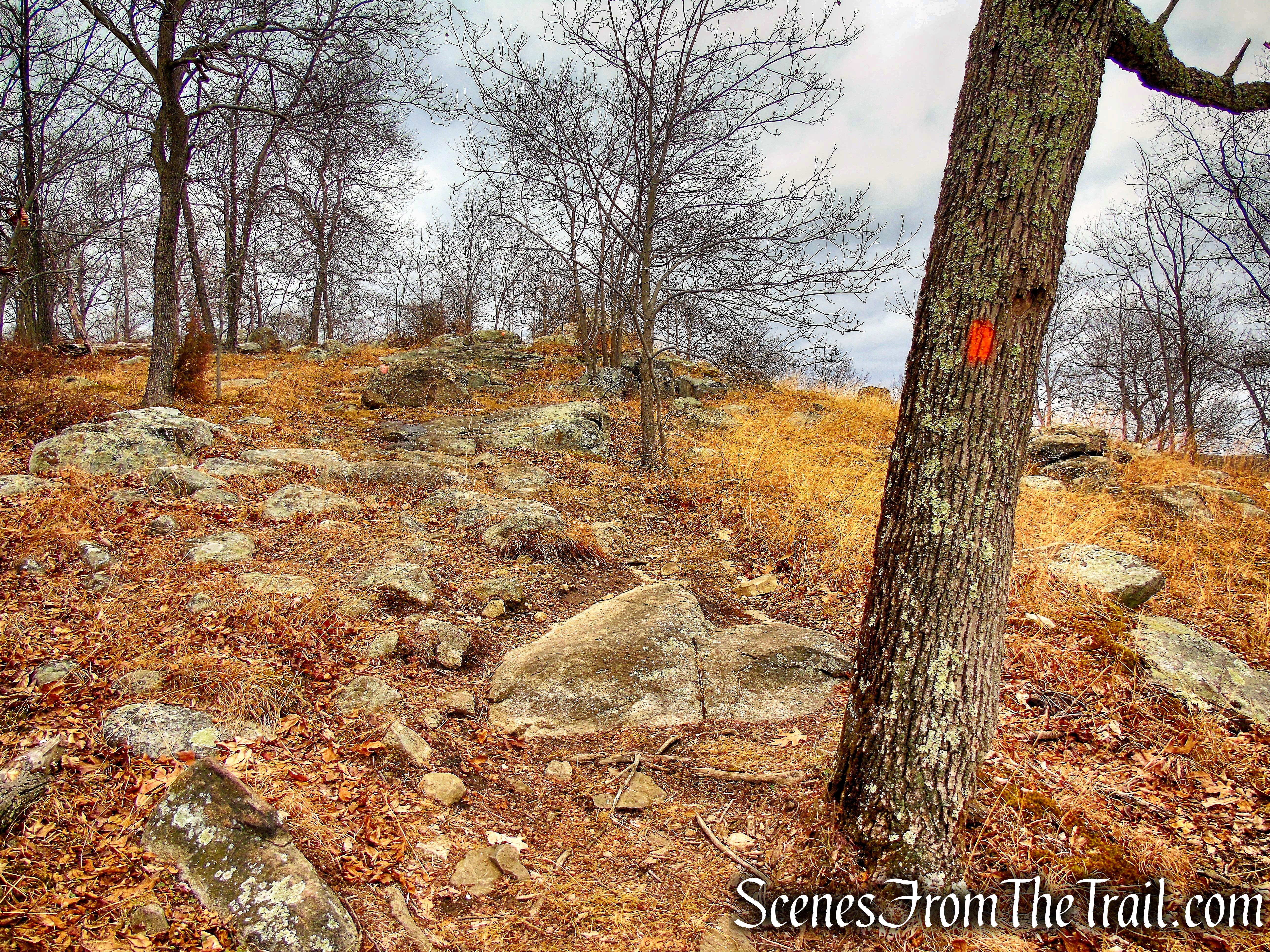 Mountain Trail - Kakiat County Park