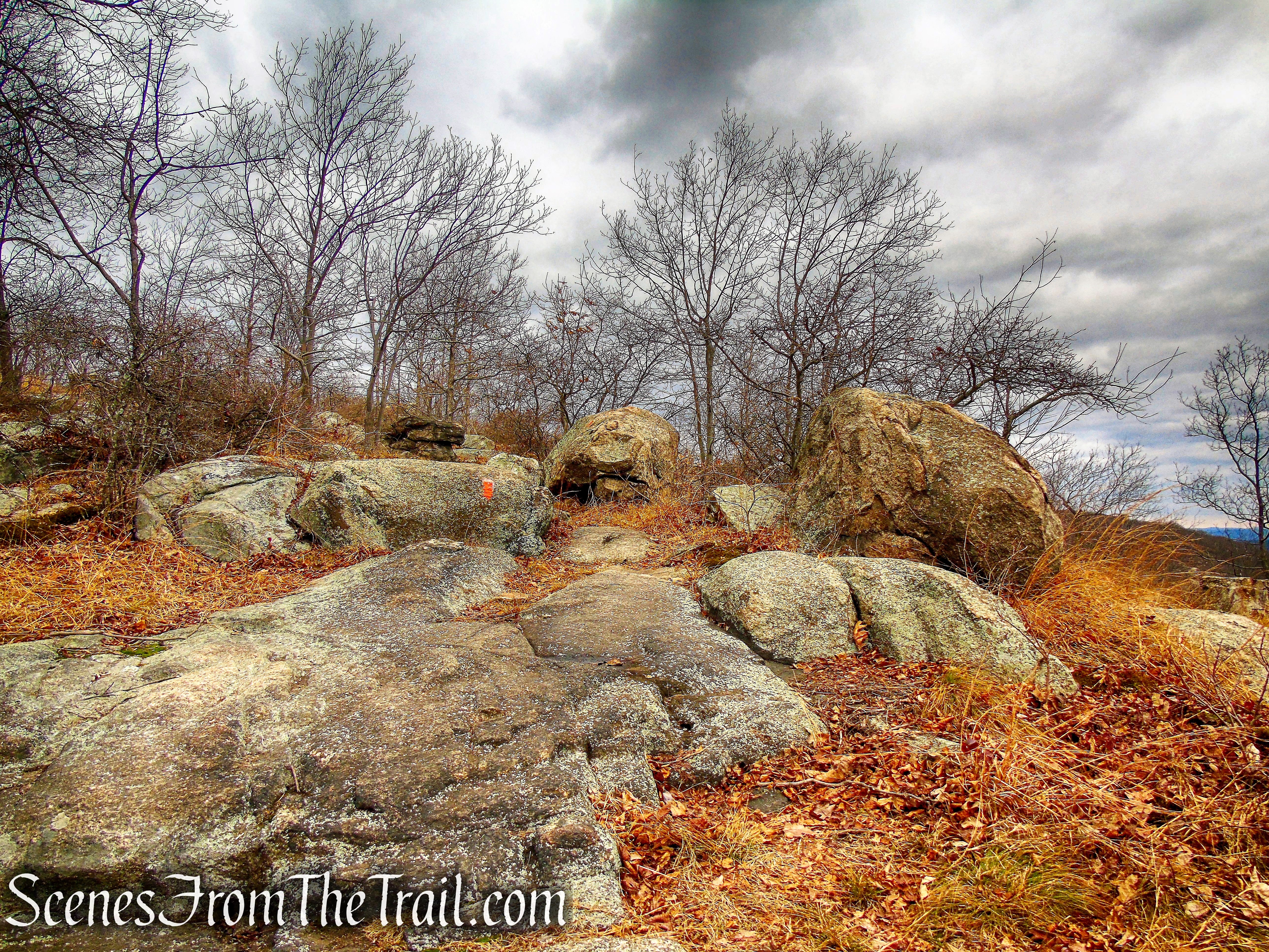 Mountain Trail - Kakiat County Park