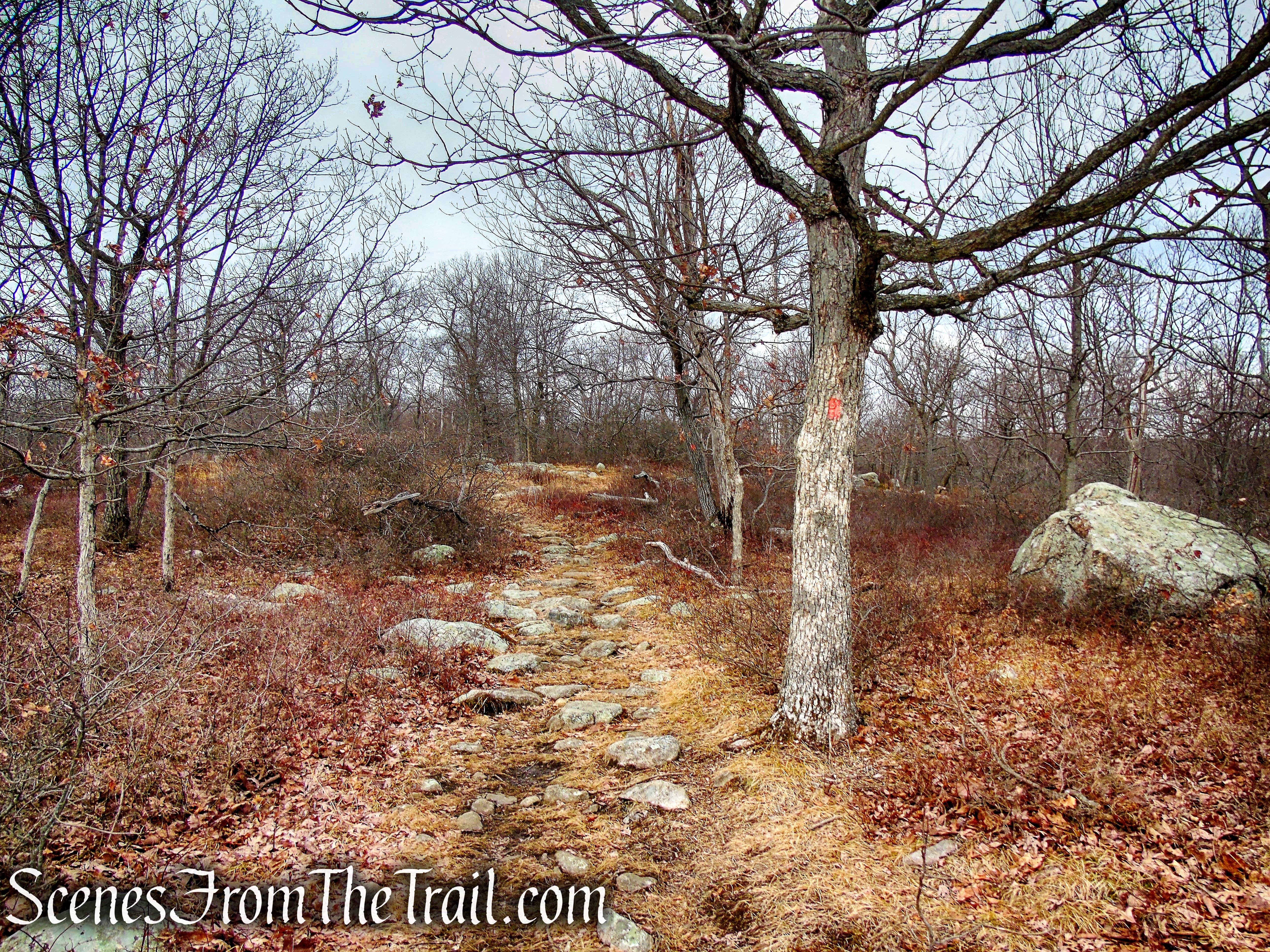 Mountain Trail - Kakiat County Park