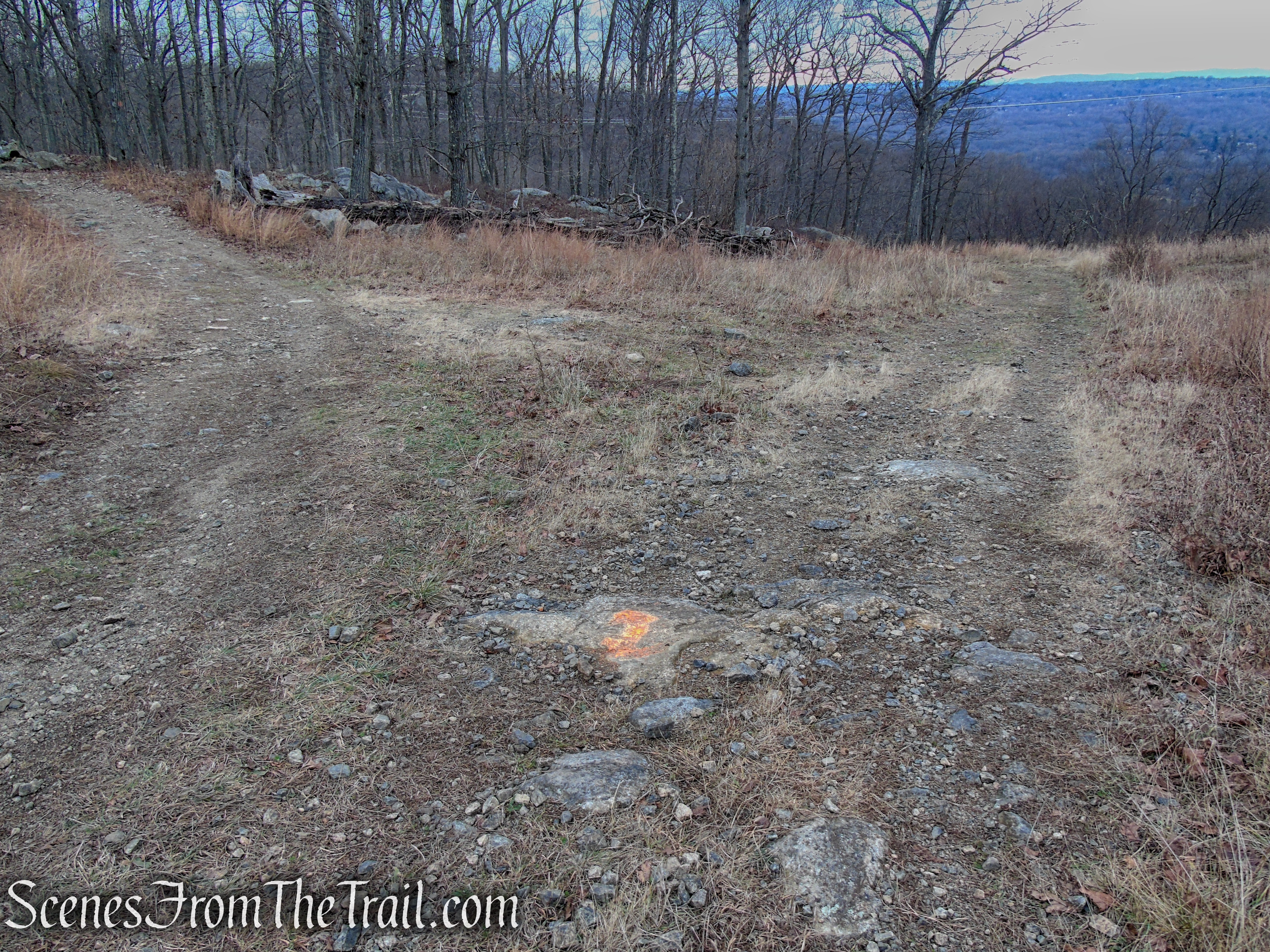 Mountain Trail - Kakiat County Park