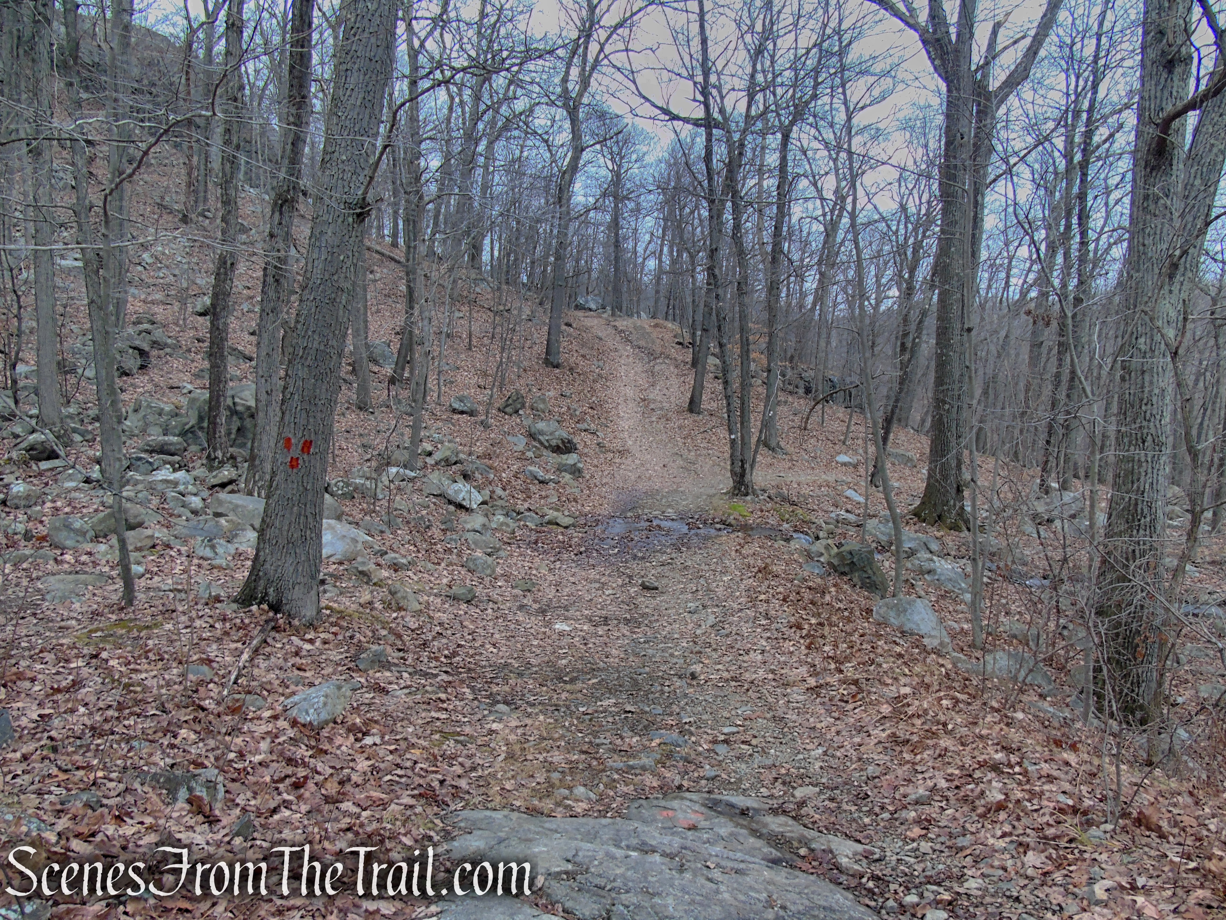 terminus of Mountain Trail - Kakiat County Park