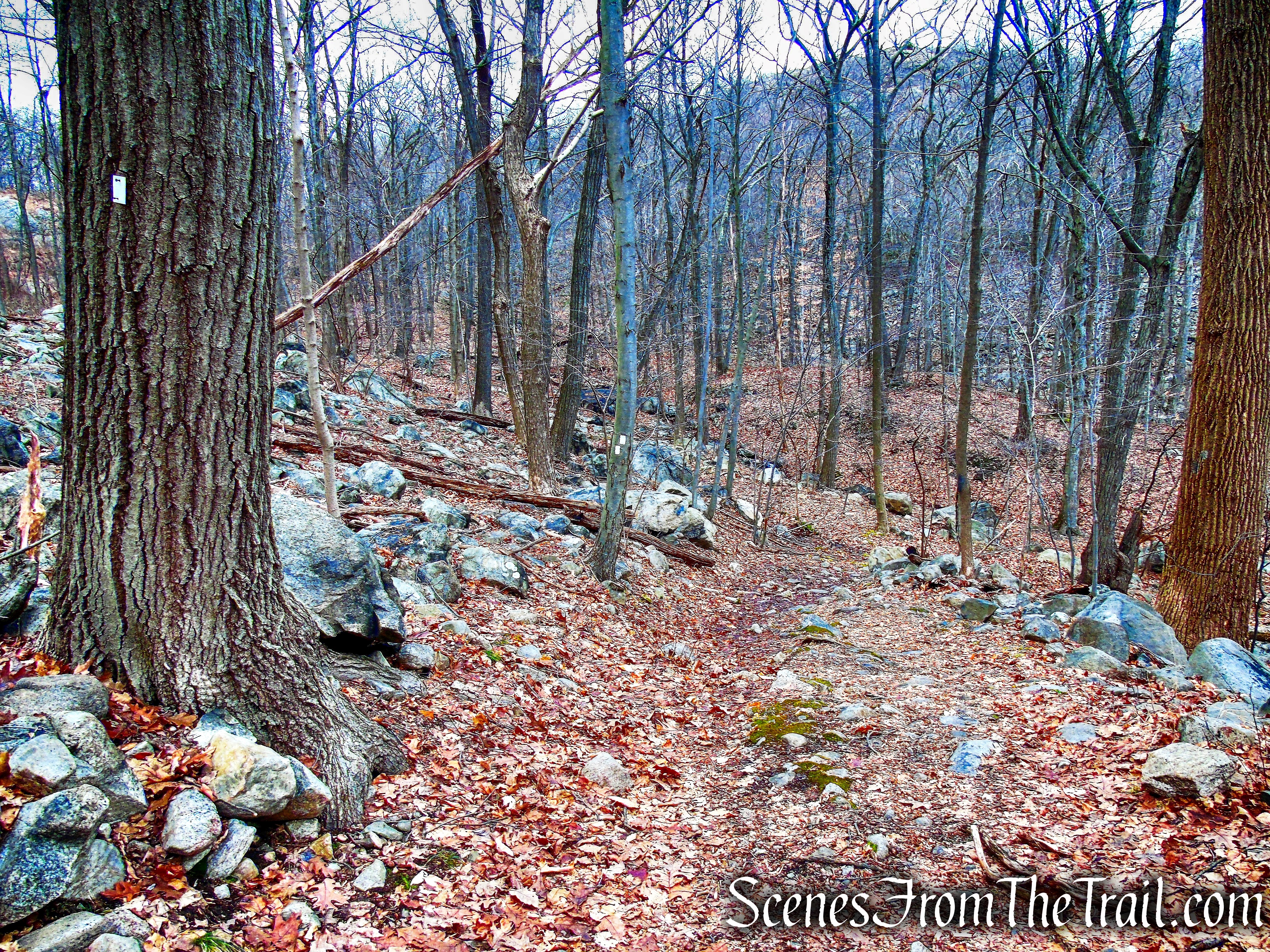Kakiat Trail - Kakiat County Park